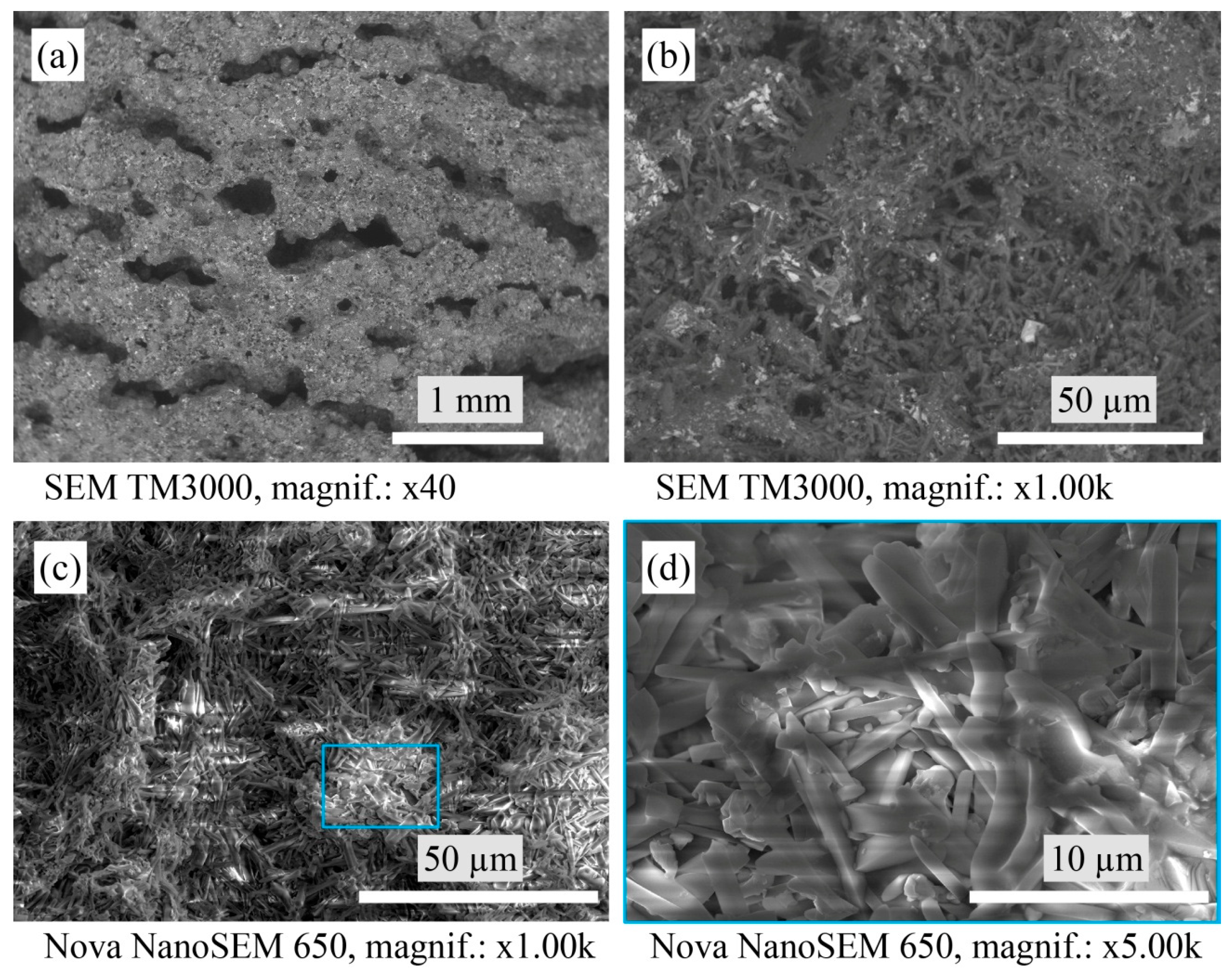 Materials 16 04631 g004 Materials 16 04631 g004