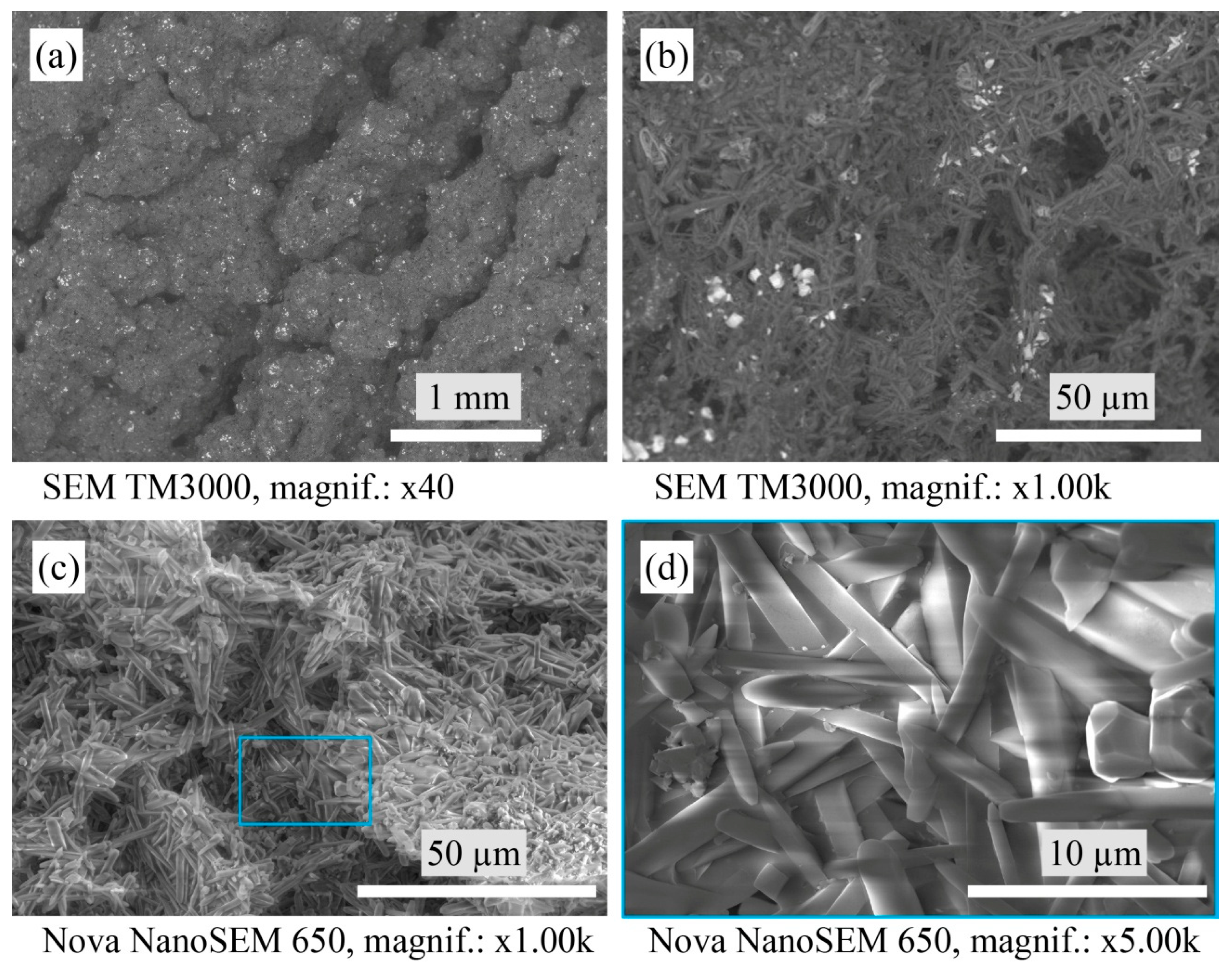 Materials 16 04631 g005 Materials 16 04631 g005