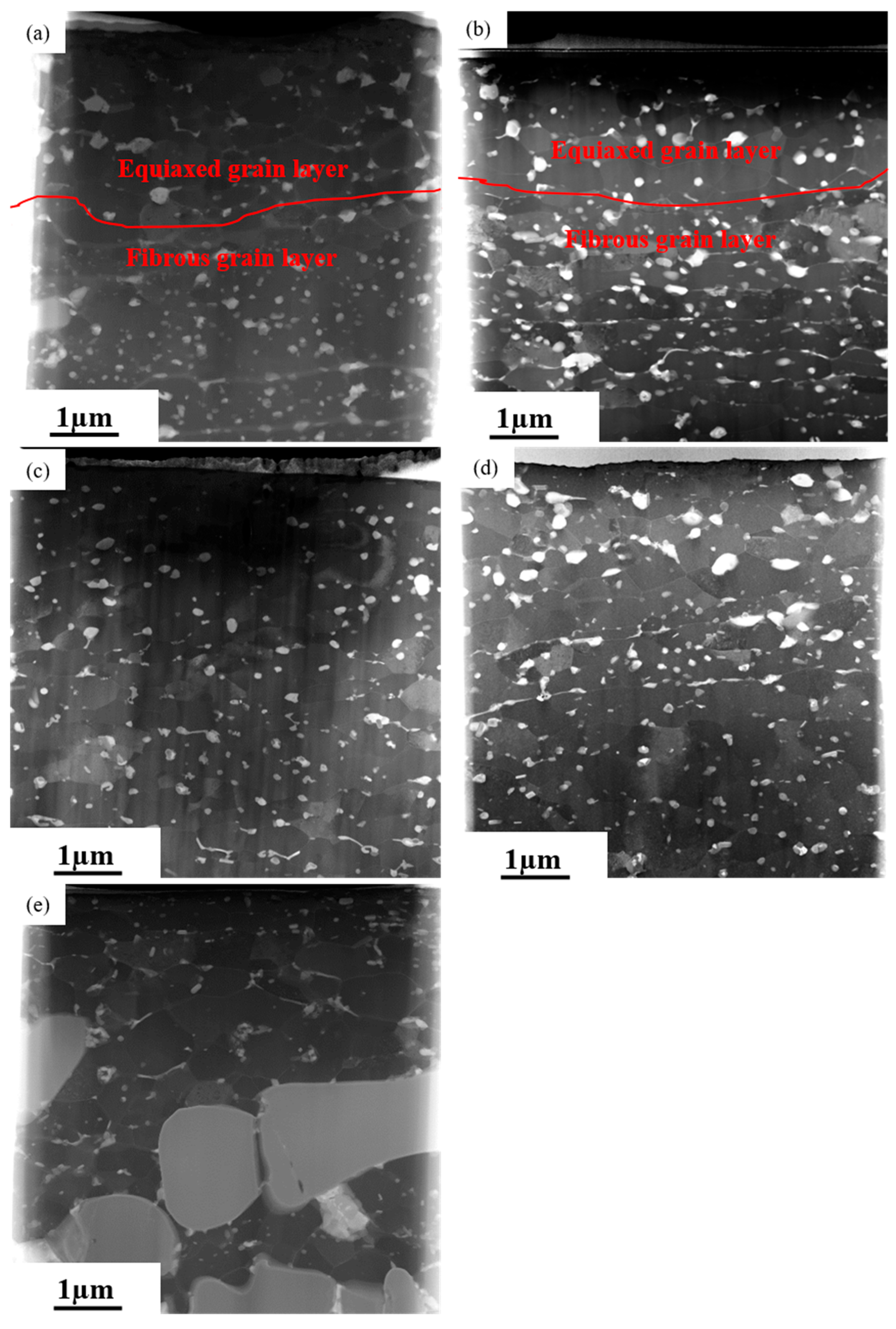 PDF) Topological aspects in the microstructural evolution of AA6082 during  hot plastic deformation