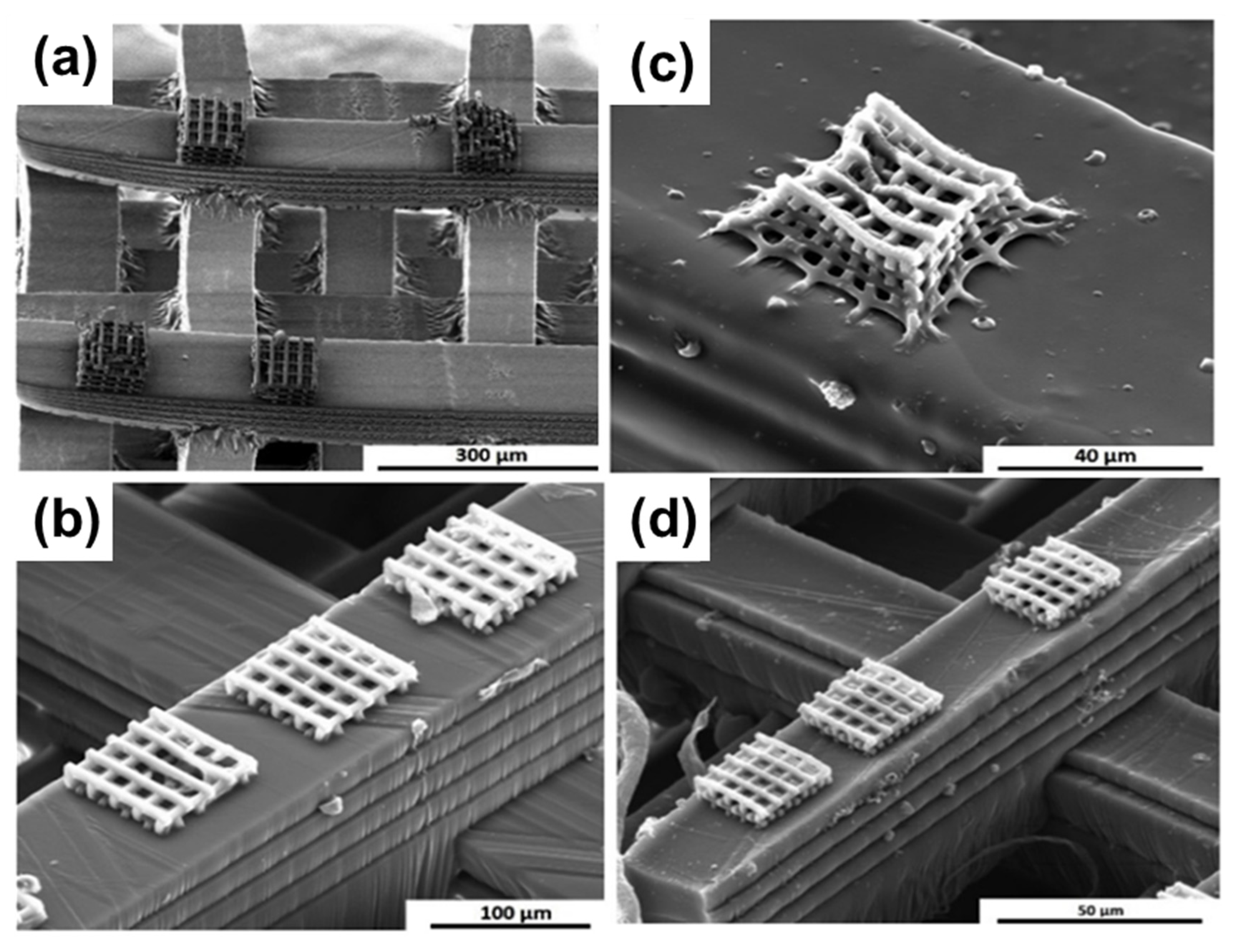 Materials 16 04636 g013 Materials 16 04636 g013