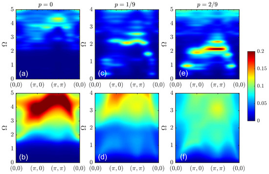 One- and Two-Particle Correlation Functions in the Cluster