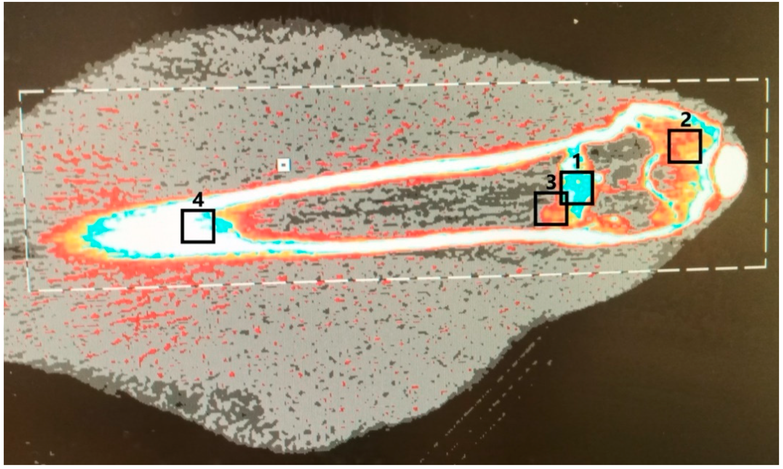 Materials 16 04650 g001 Materials 16 04650 g001
