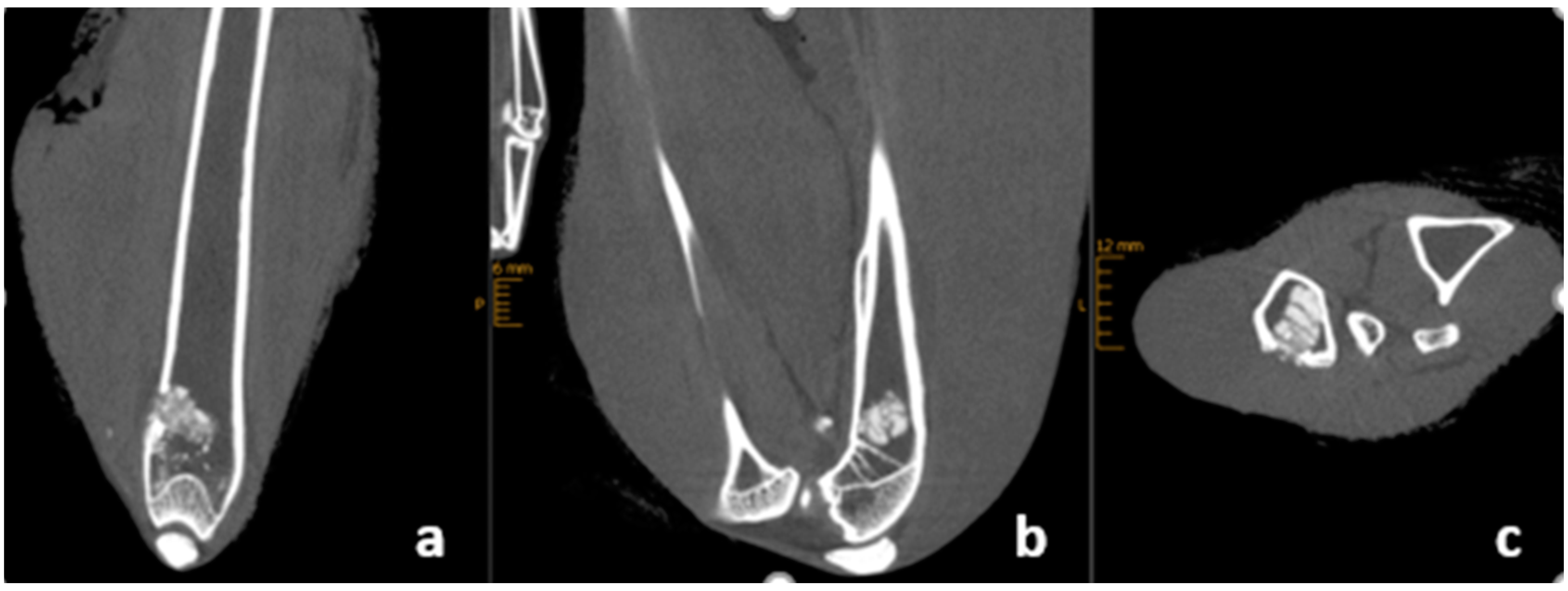 Materials 16 04650 g002 Materials 16 04650 g002