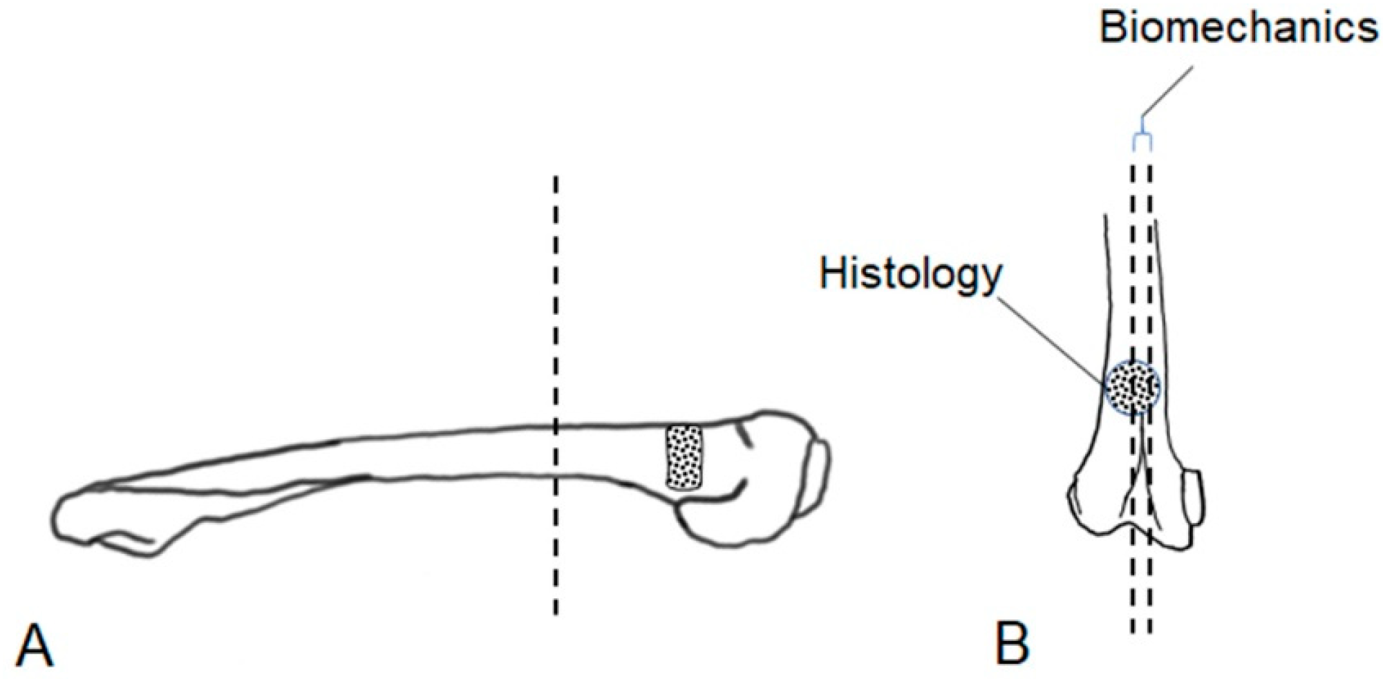 Materials 16 04650 g003 Materials 16 04650 g003
