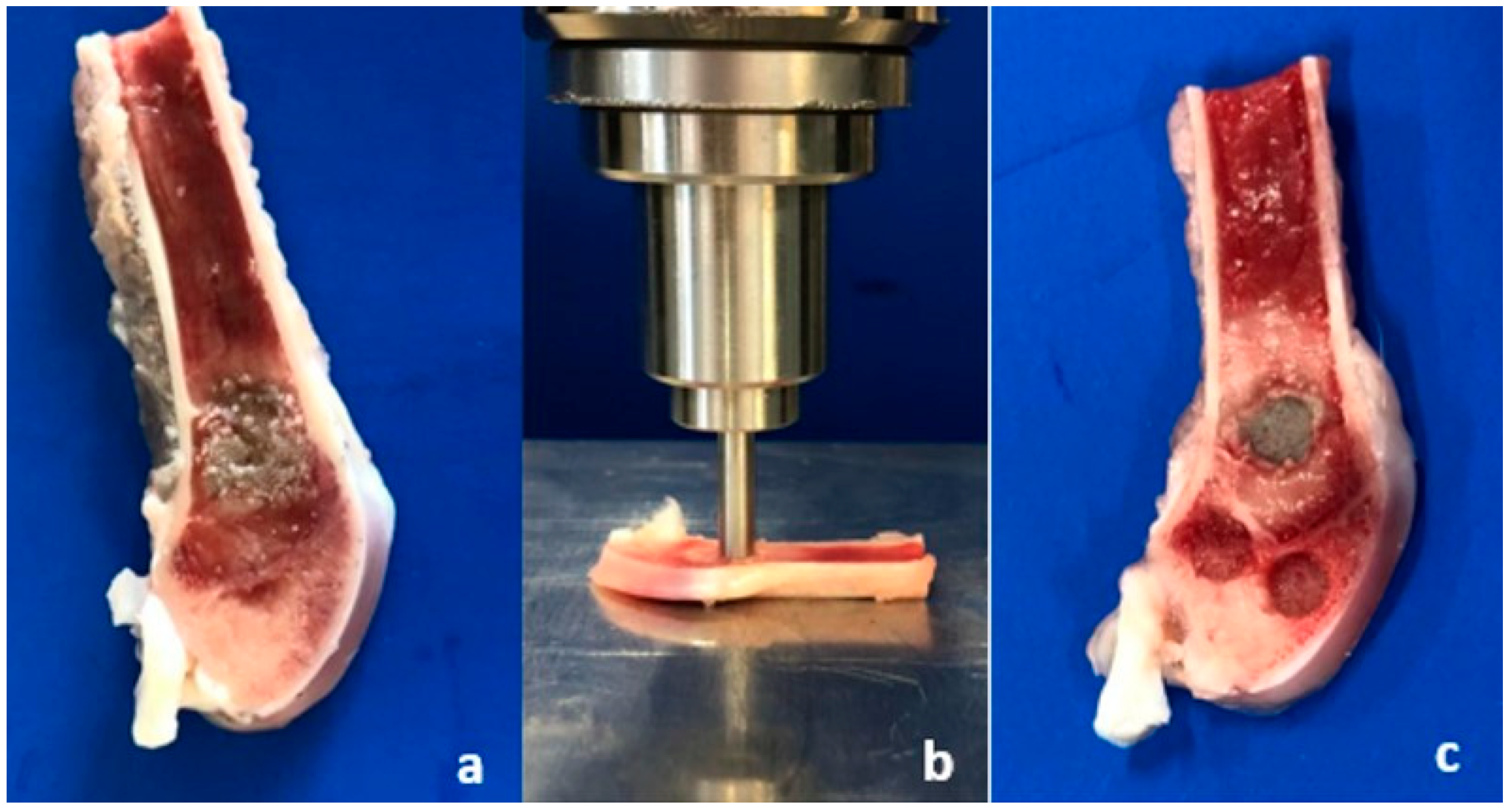 Materials 16 04650 g004 Materials 16 04650 g004