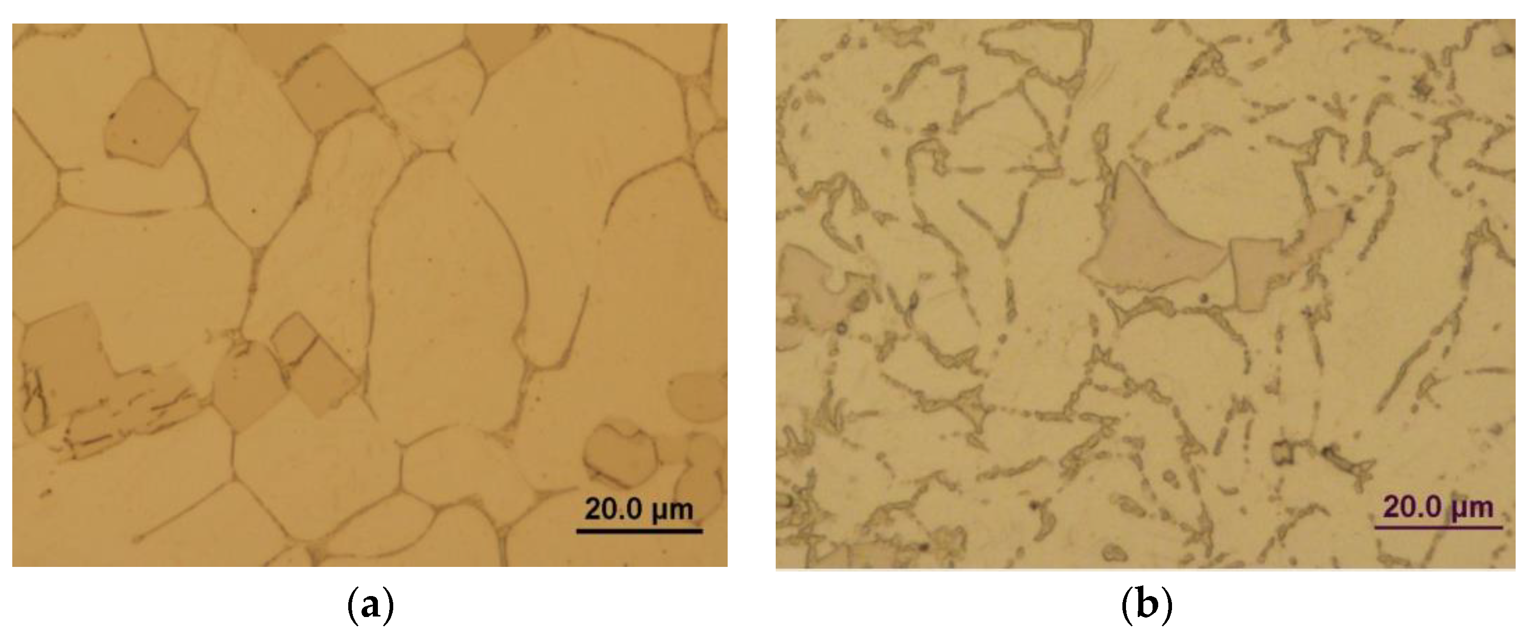 Materials 16 04655 g001a