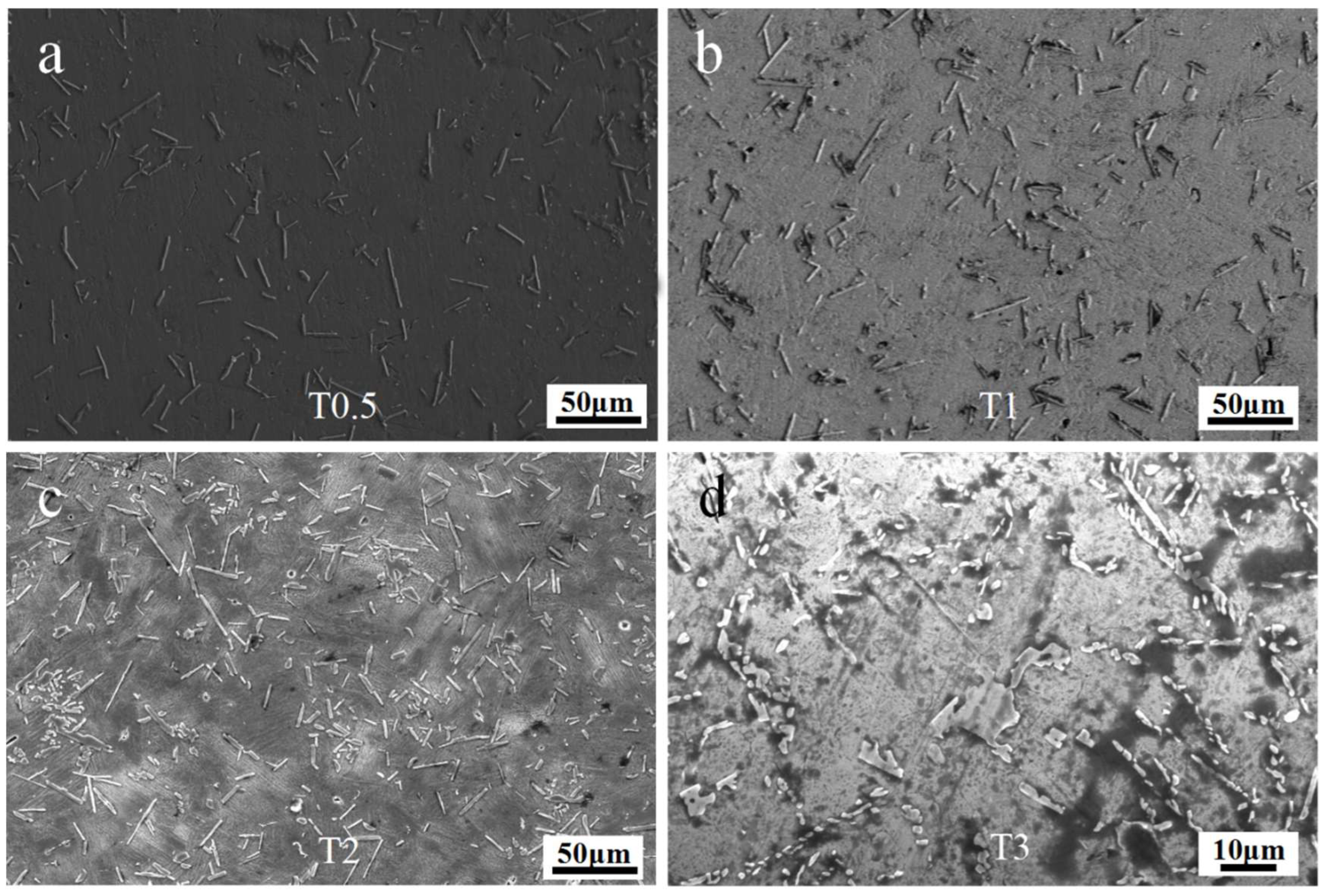 Materials 16 04661 g004