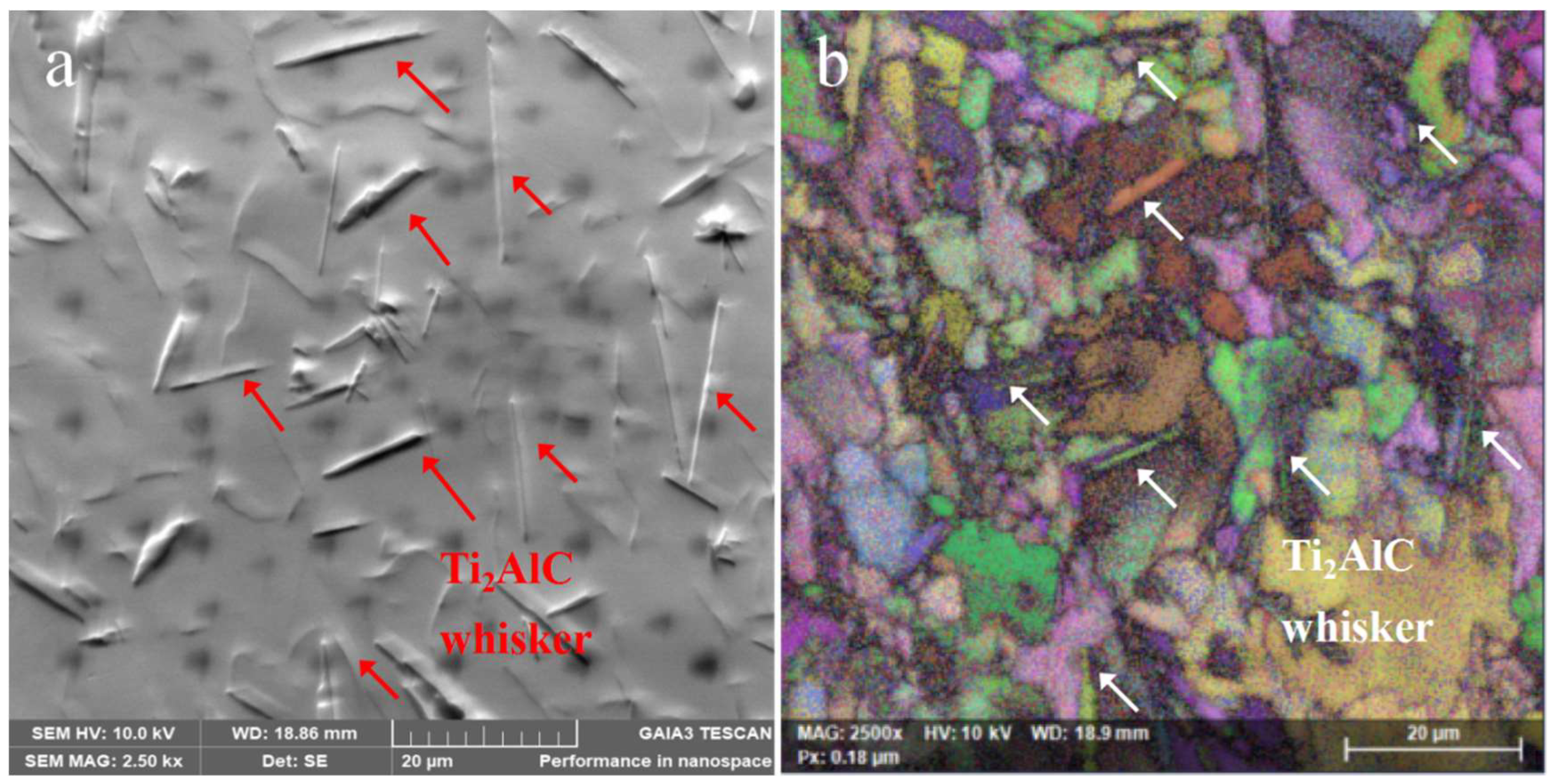 Materials 16 04661 g005