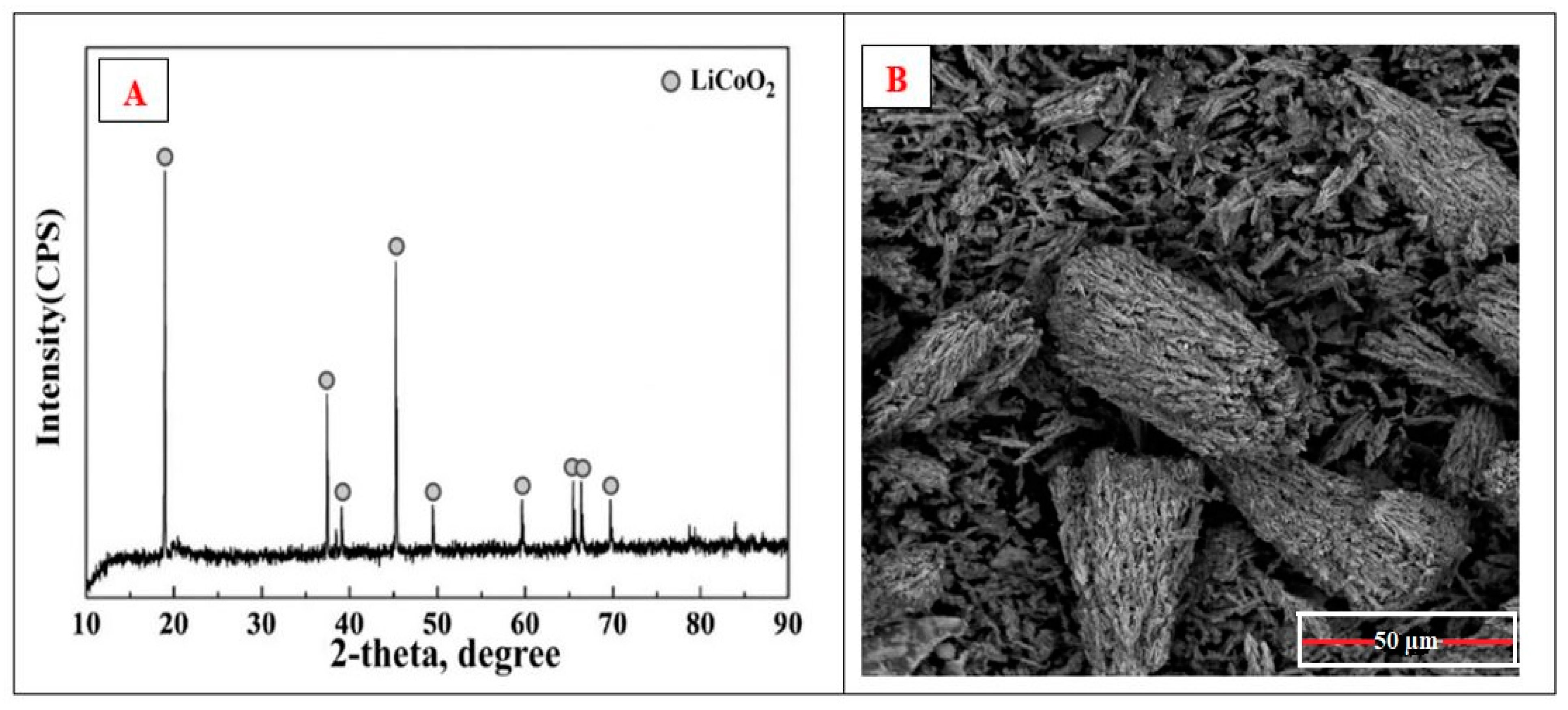 Materials 16 04662 g018