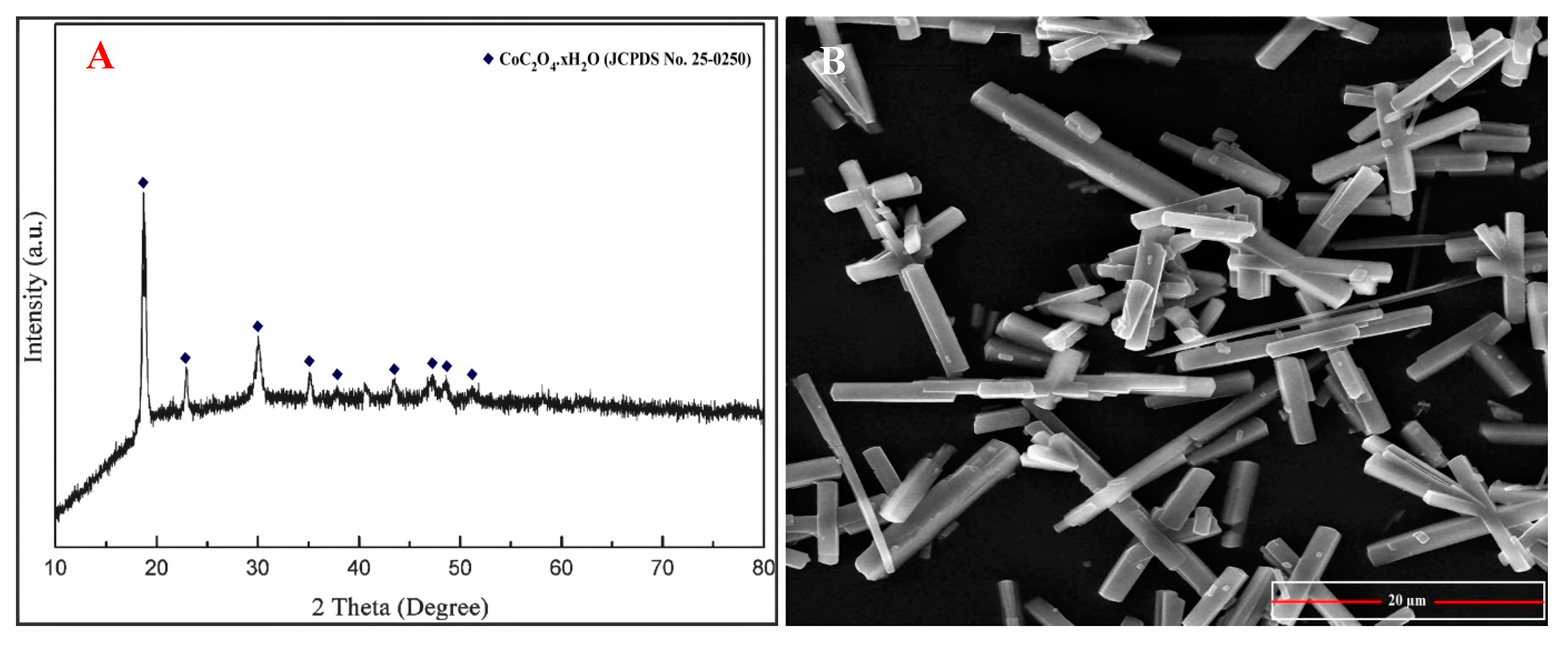 Materials 16 04662 g019