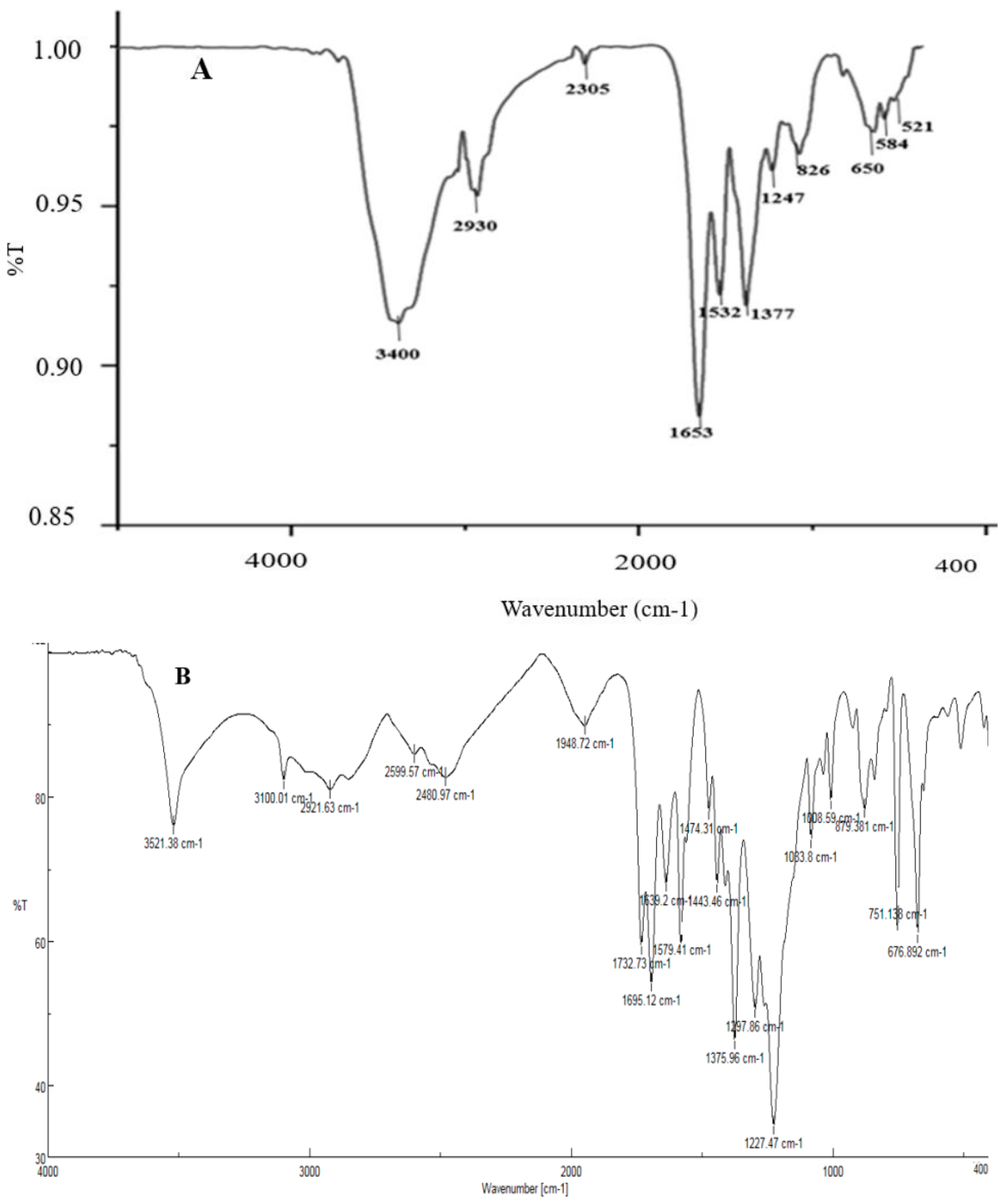 Materials 16 04670 g006a Materials 16 04670 g006a