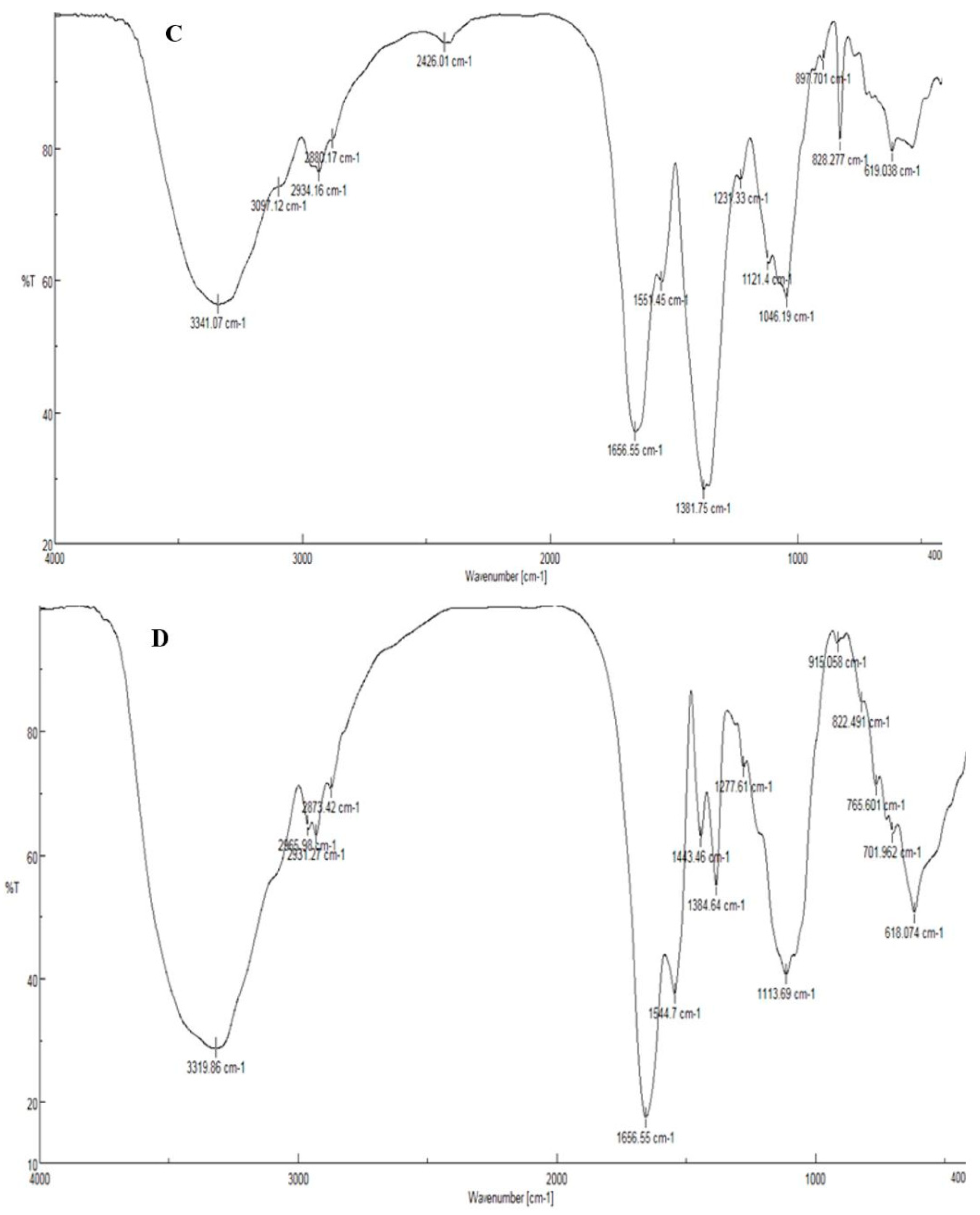 Materials 16 04670 g006b Materials 16 04670 g006b