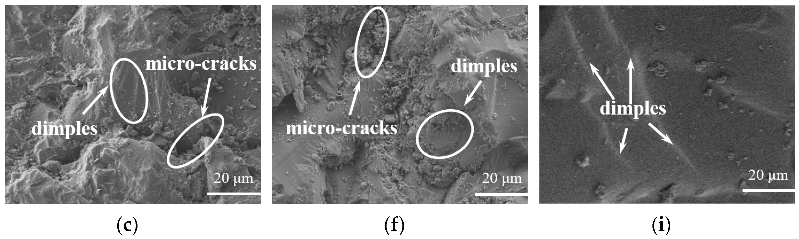 Materials 16 04677 g006b Materials 16 04677 g006b