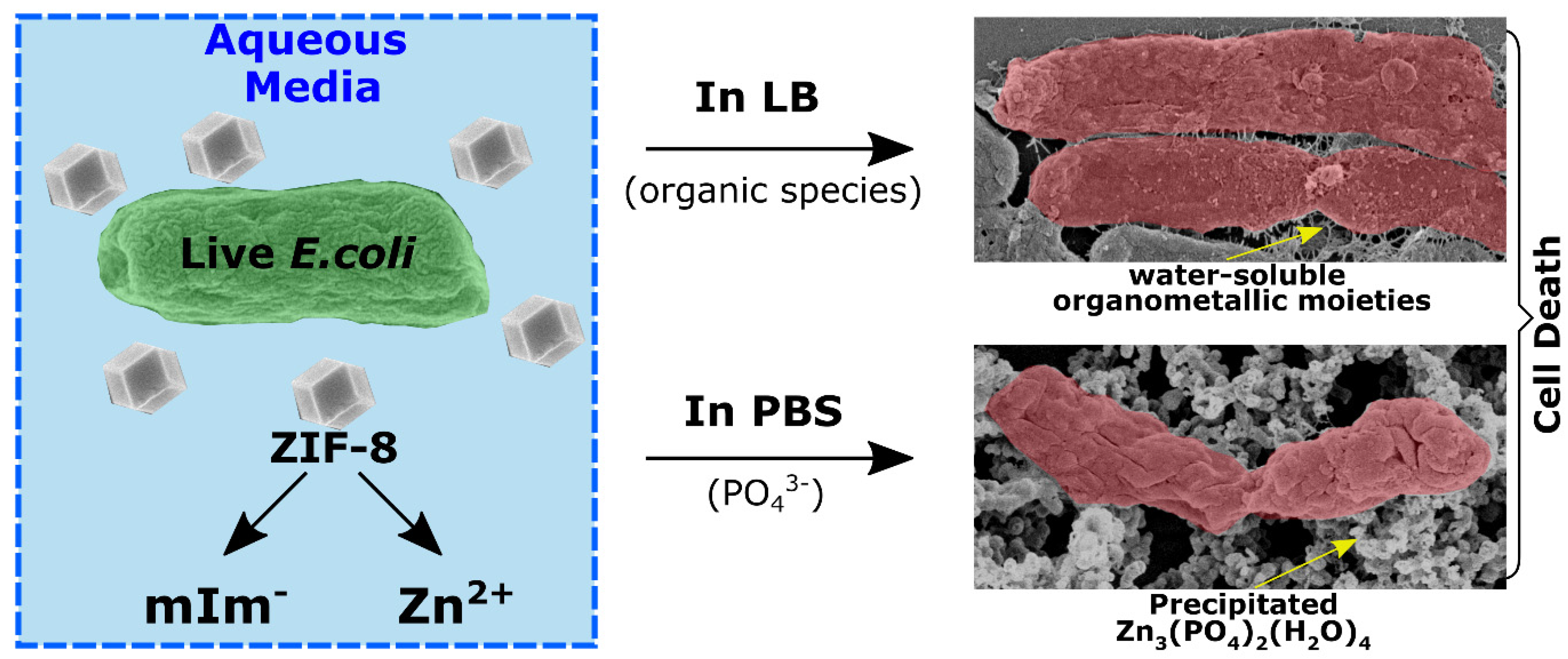 Materials 16 04685 g006