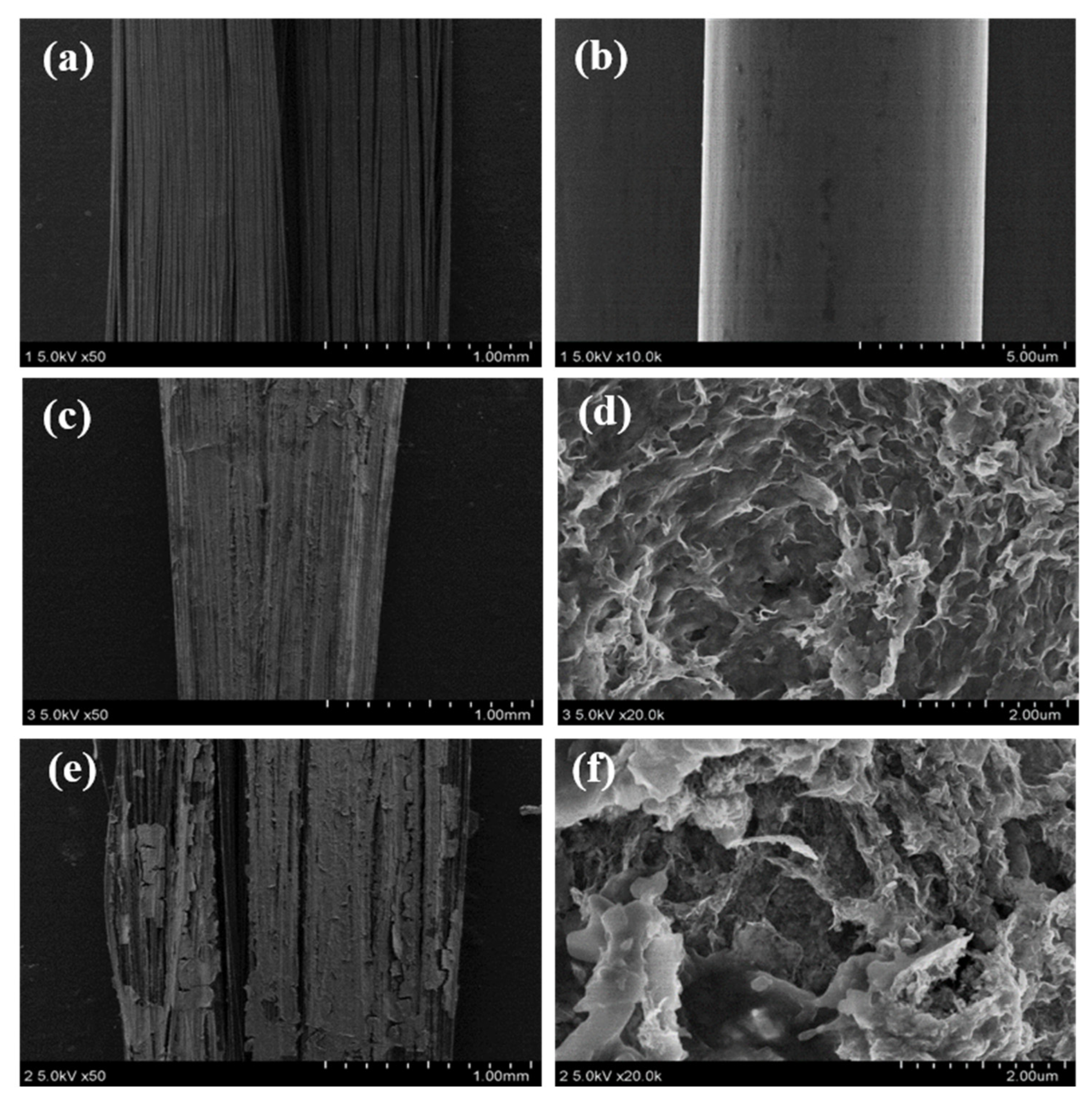 Materials 16 04687 g005 550