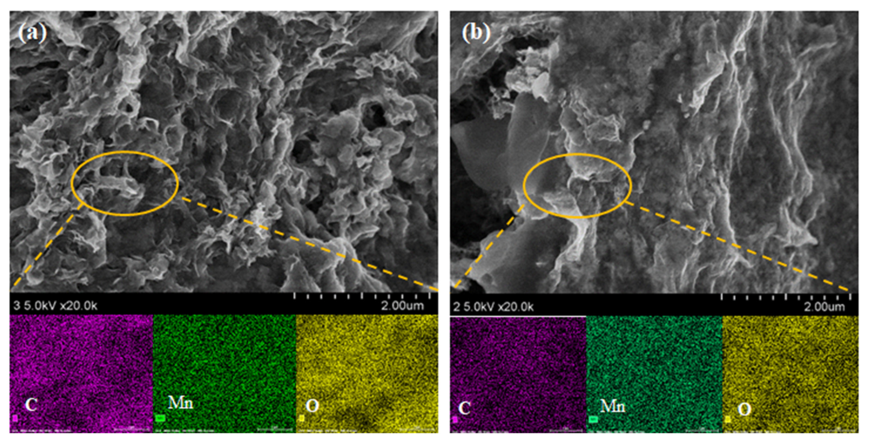 Materials 16 04687 g006 550