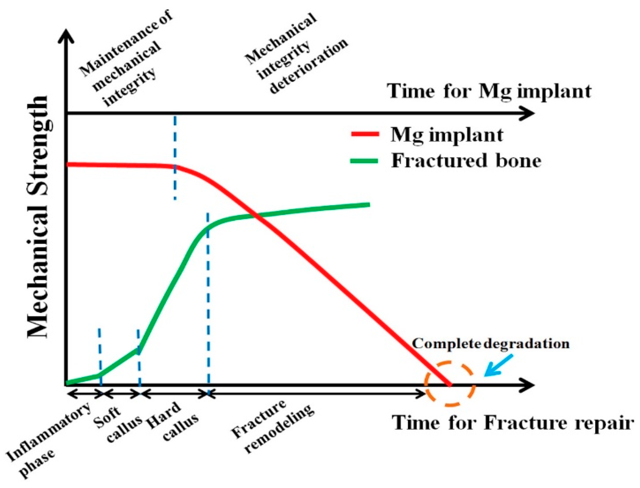 Materials 16 04700 g002