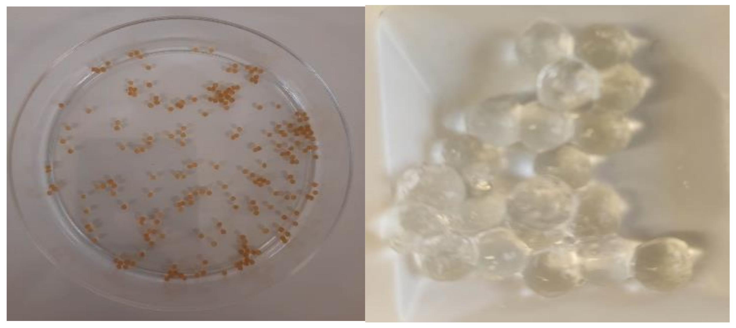 Materials 16 04715 g002