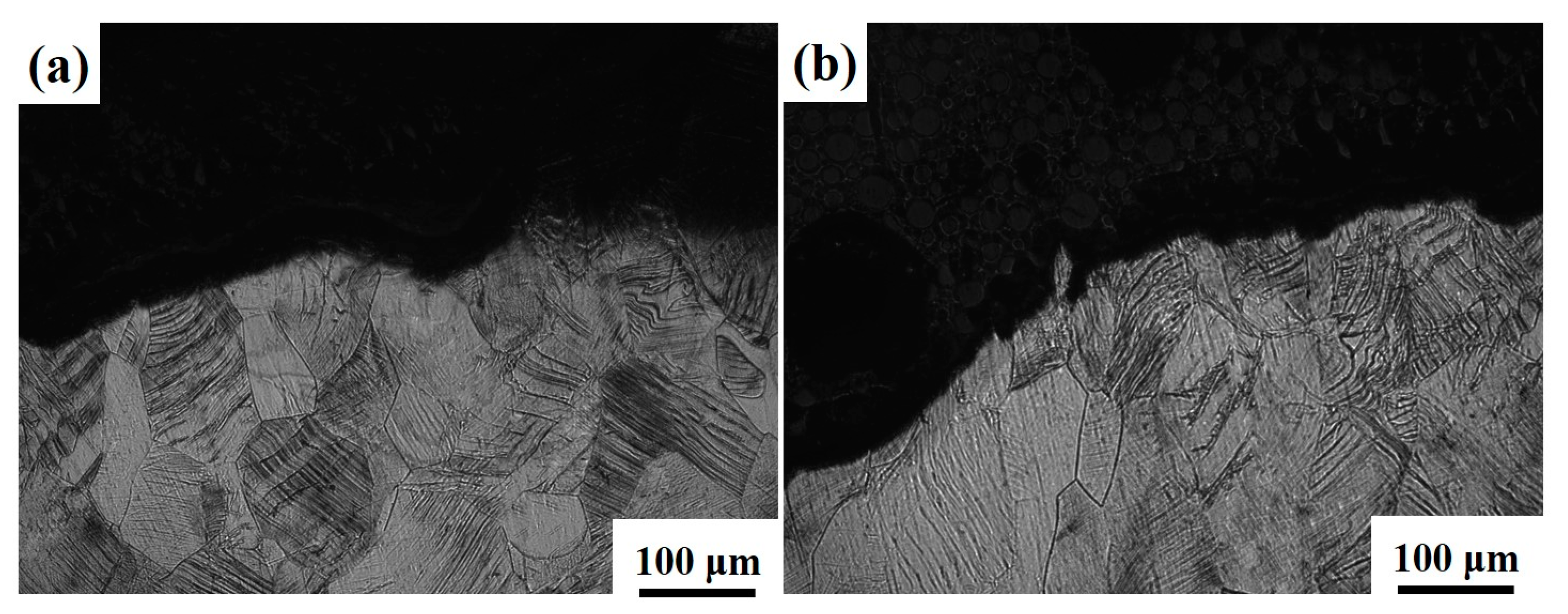 Materials 16 04725 g011 Materials 16 04725 g011