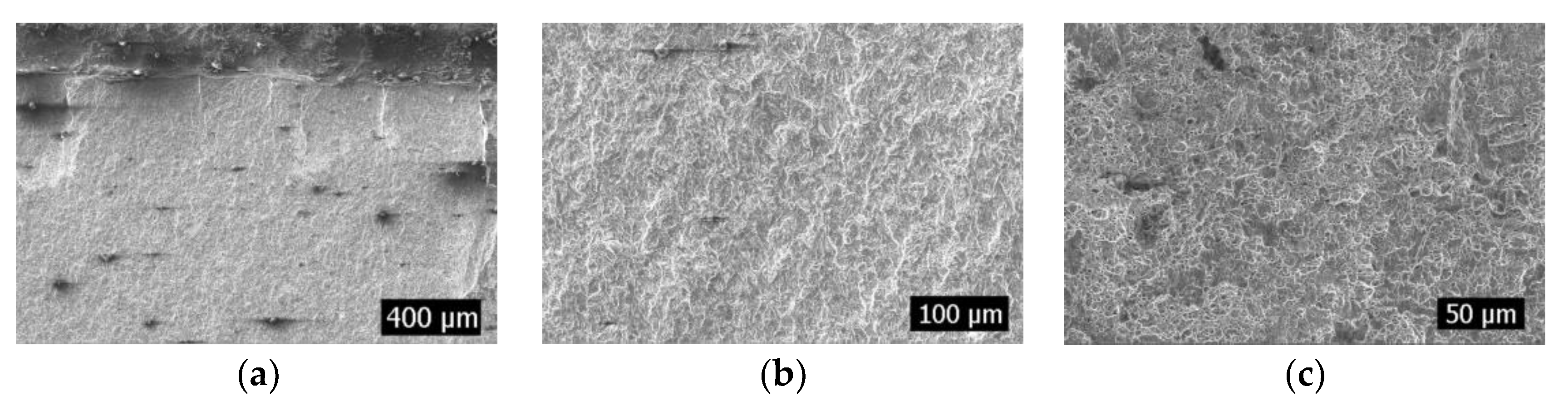 Materials 16 04751 g004