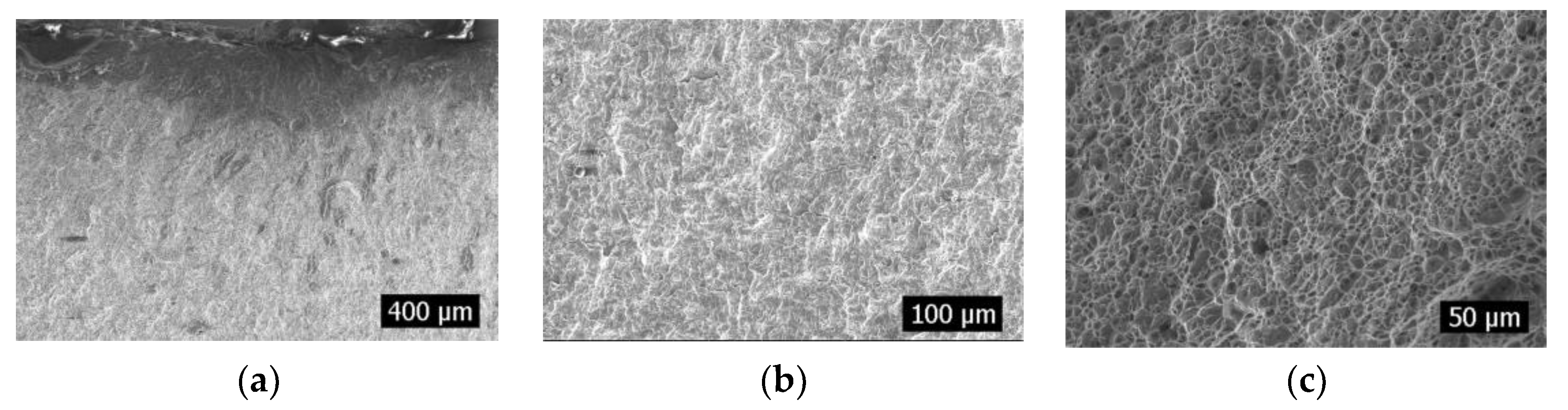 Materials 16 04751 g005