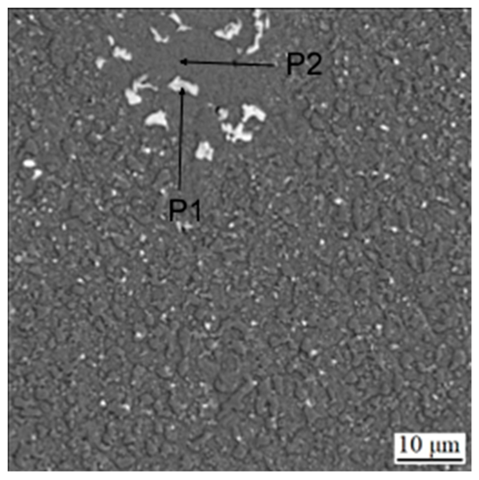 Materials 16 04760 g004 550