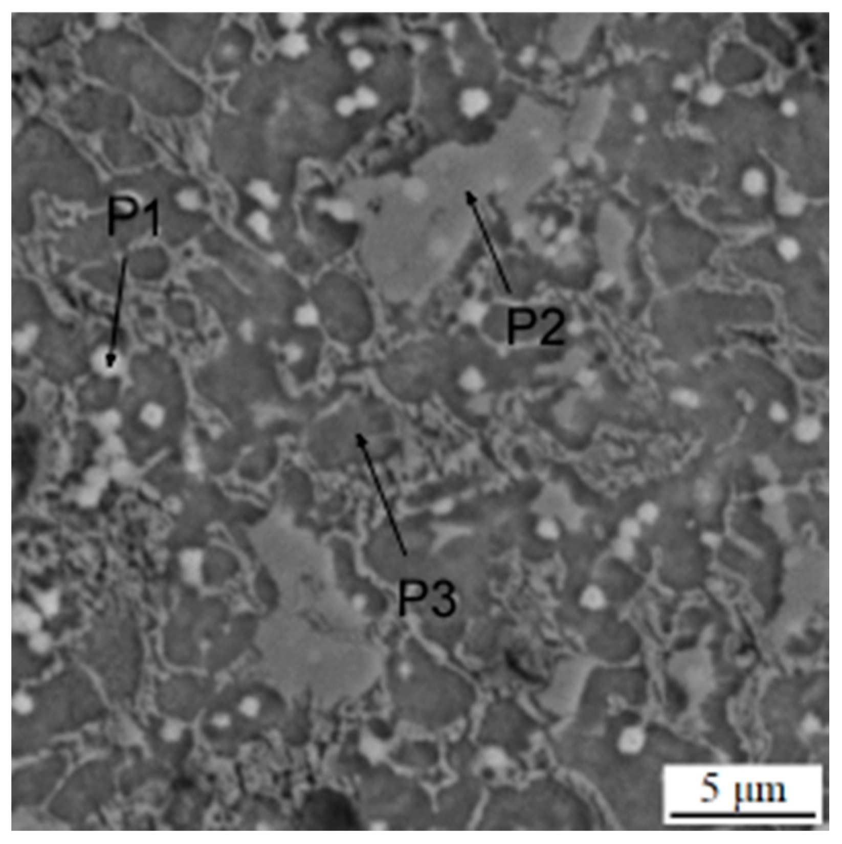 Materials 16 04760 g006 550