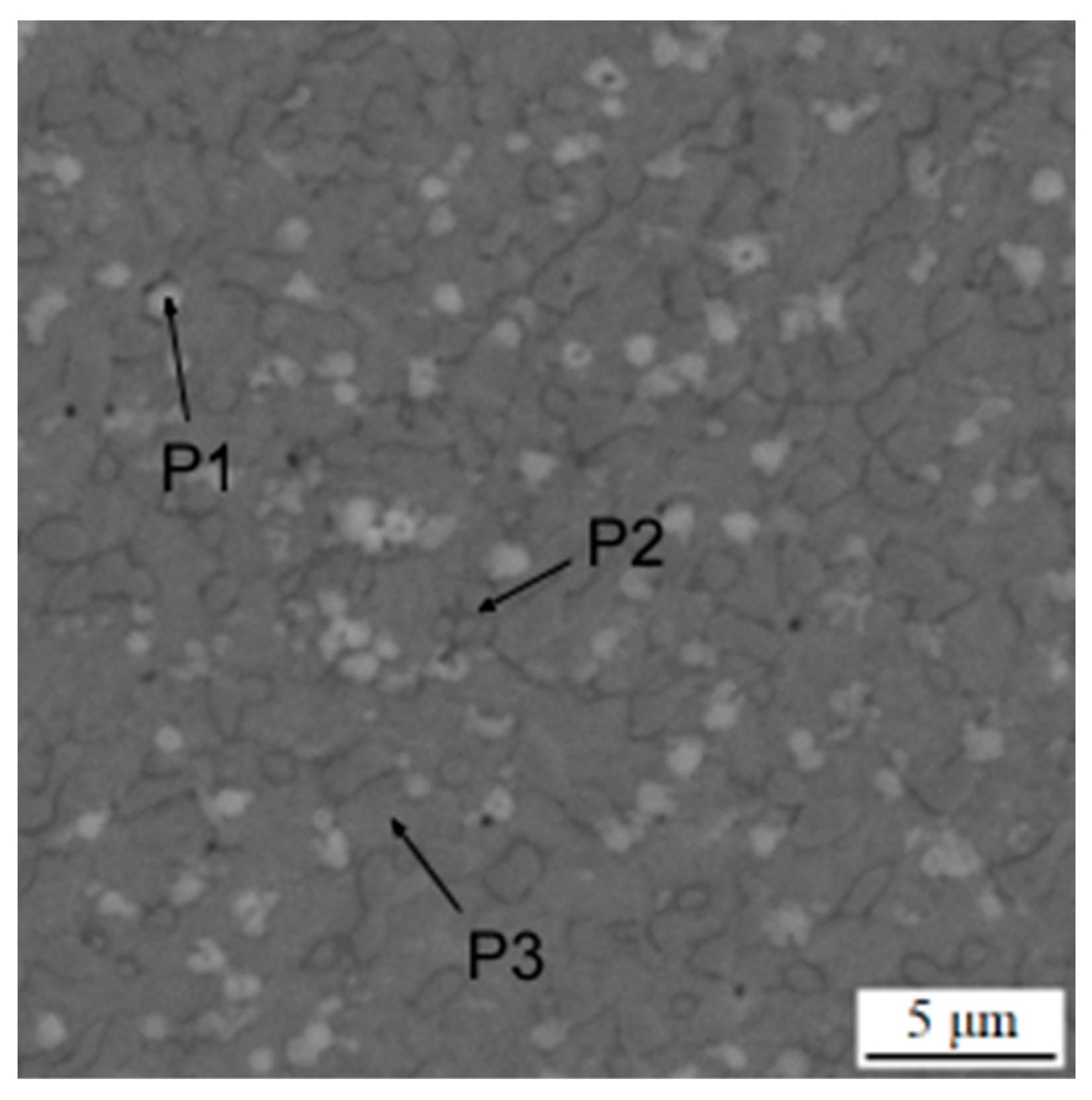 Materials 16 04760 g010 550