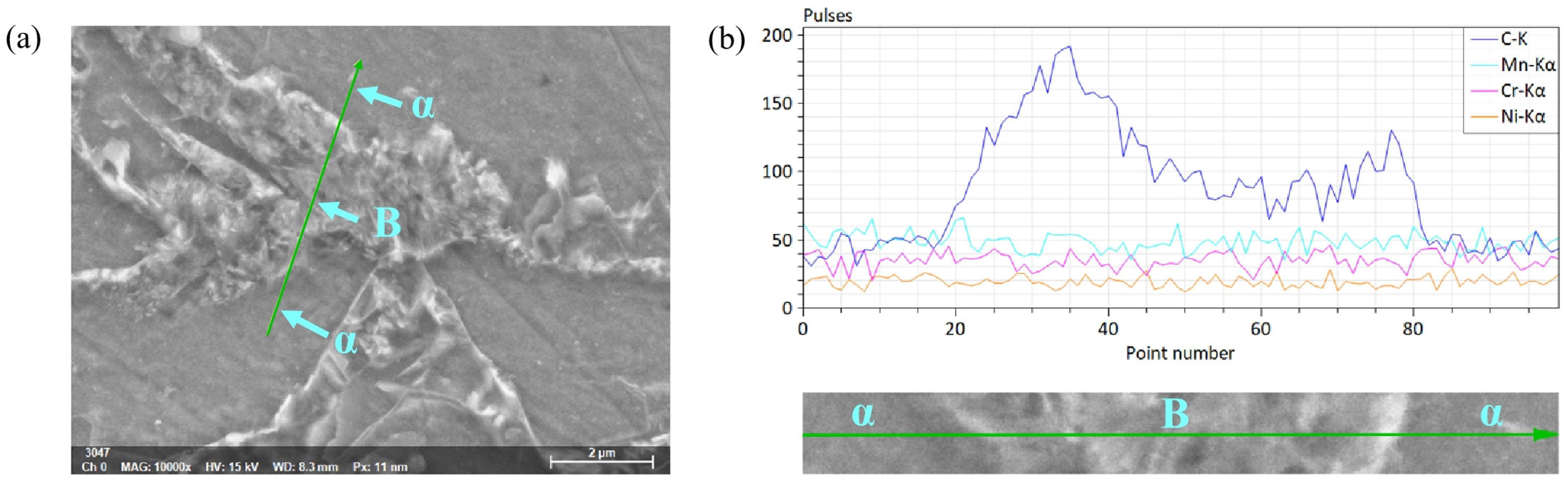 Materials 16 04762 g014