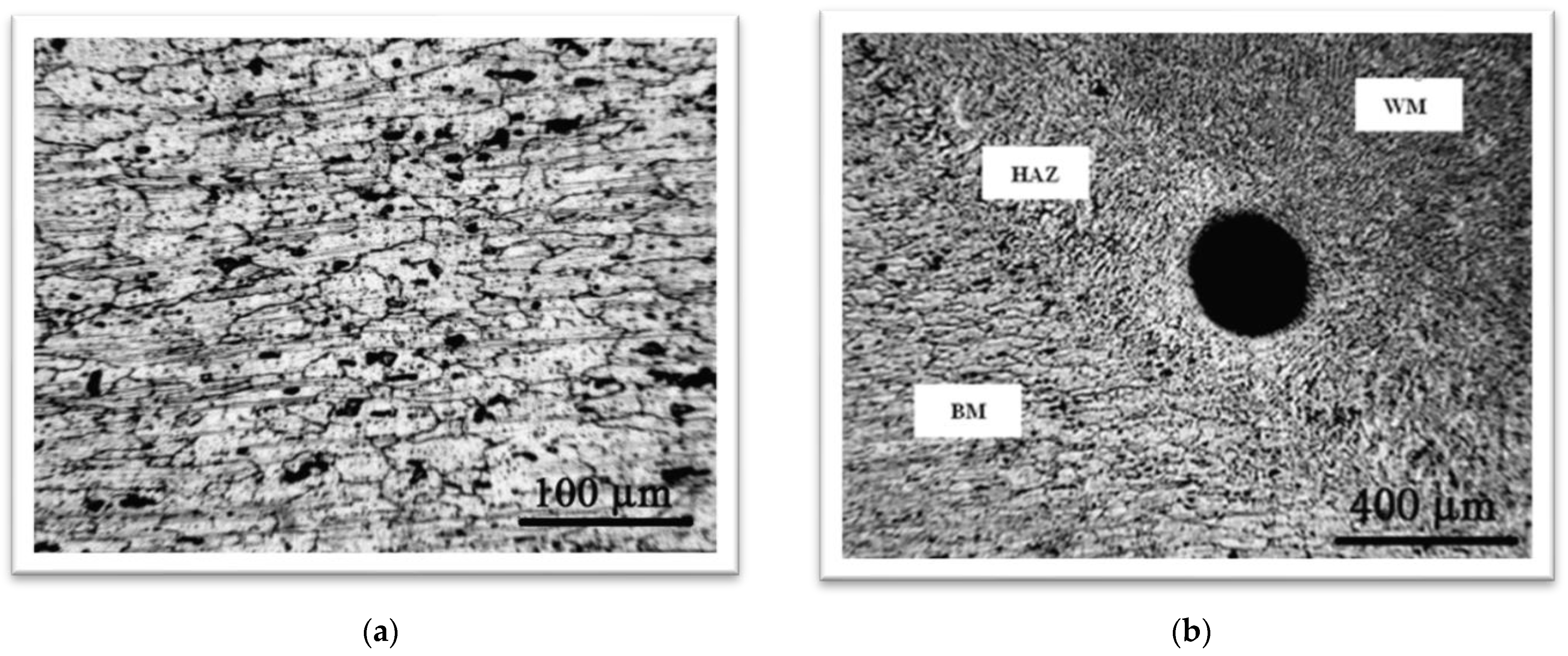 Materials 16 04781 g004