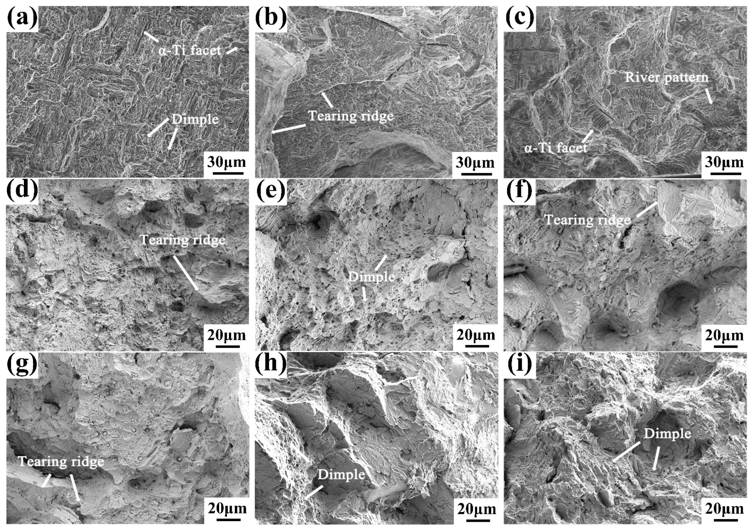 Materials 16 04784 g018