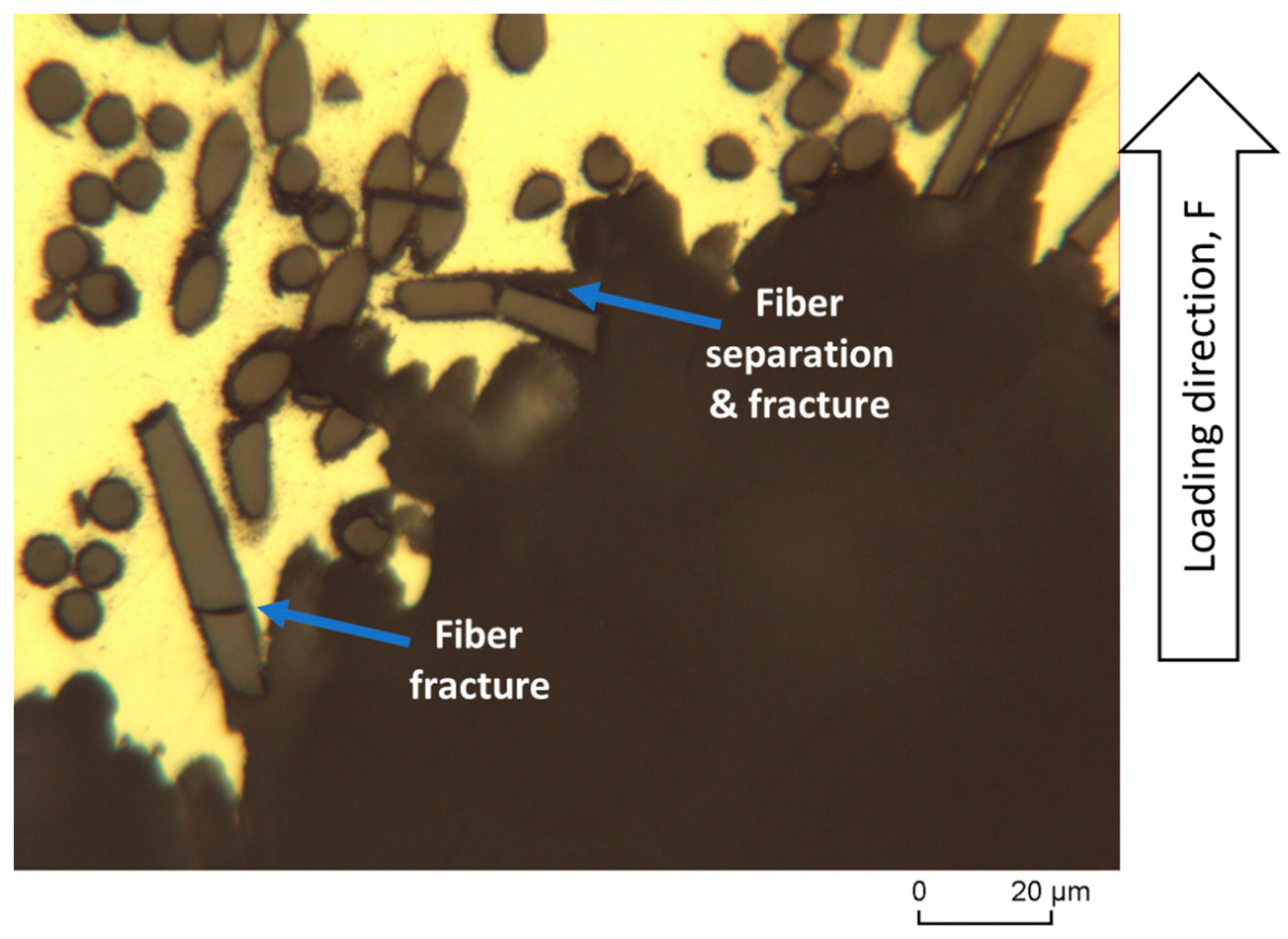 Materials 16 04785 g012