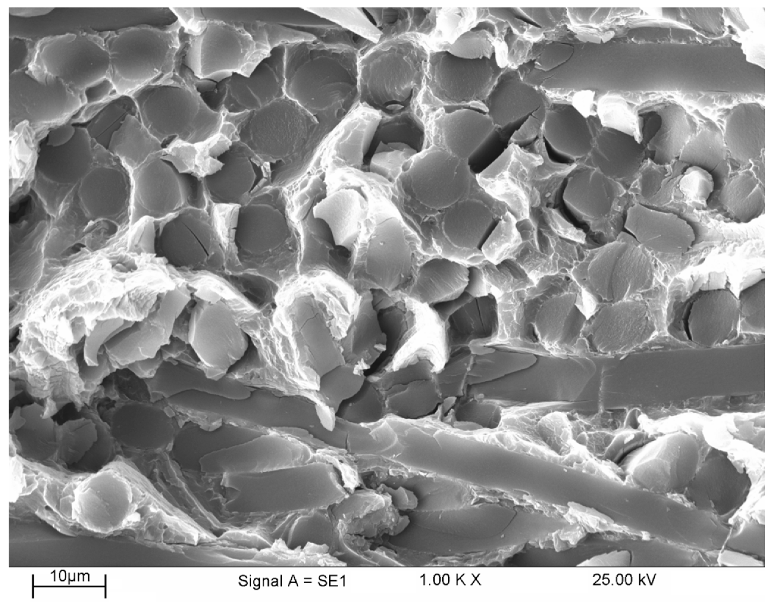 Materials 16 04785 g015