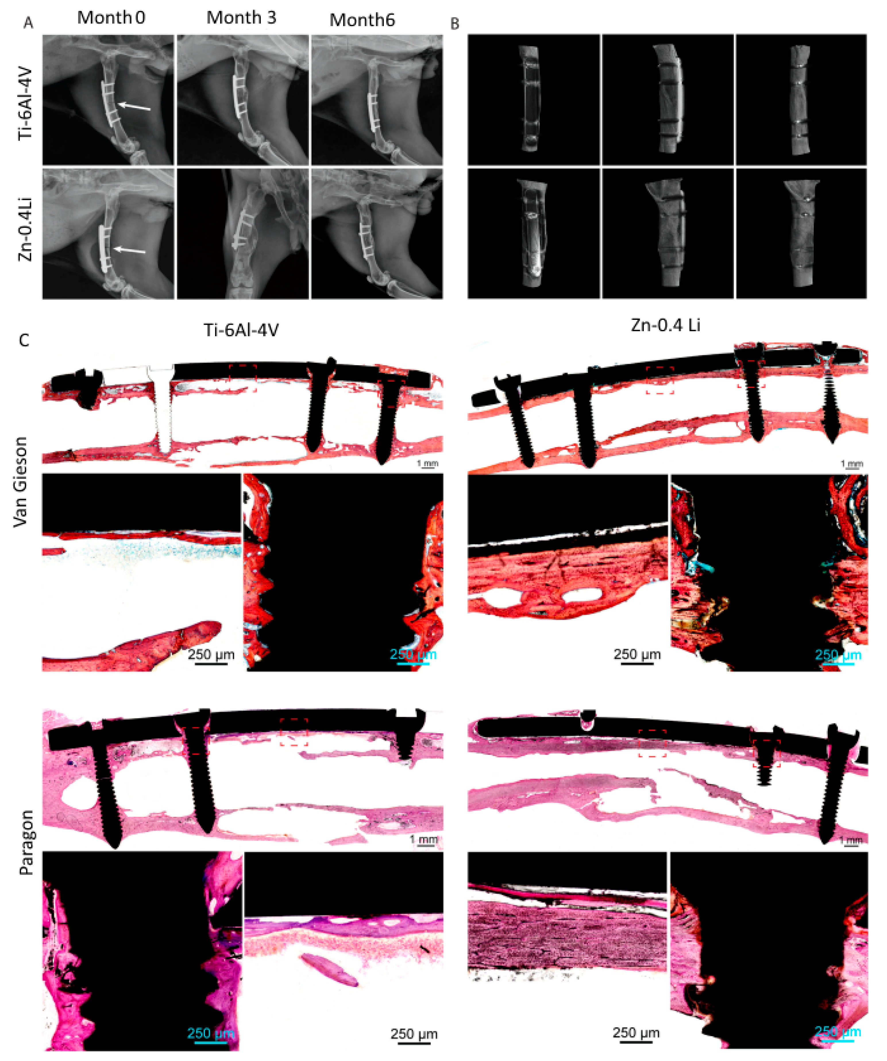 Materials 16 04797 g005
