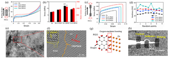Zinc Rfm A Comprehensive Review of the Current Research Status of Biodegradable ...