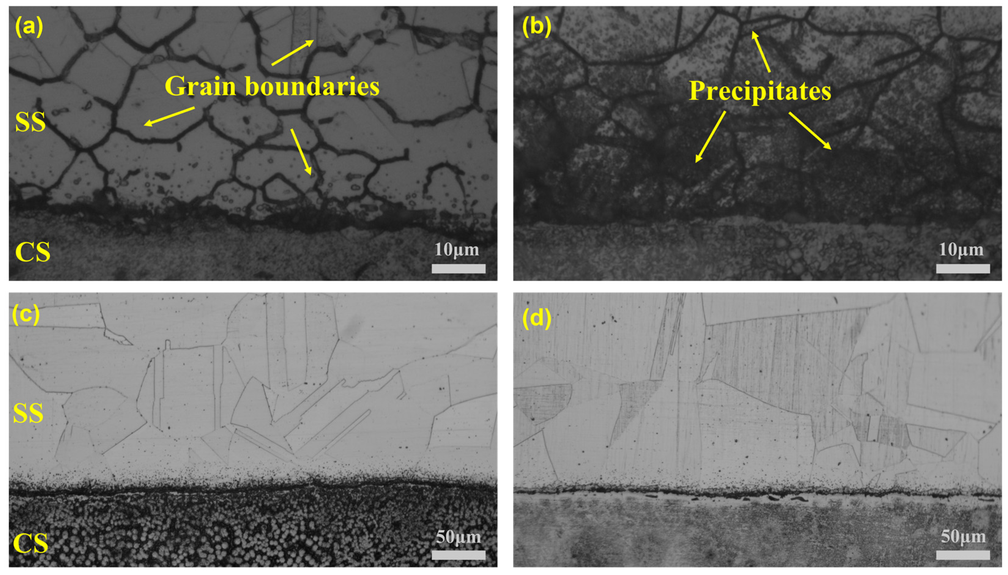 Materials 16 04809 g002 550