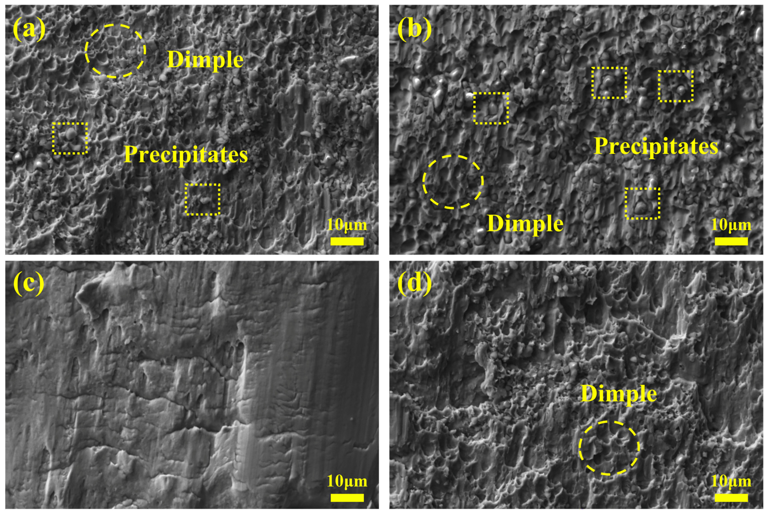 Materials 16 04809 g007 550