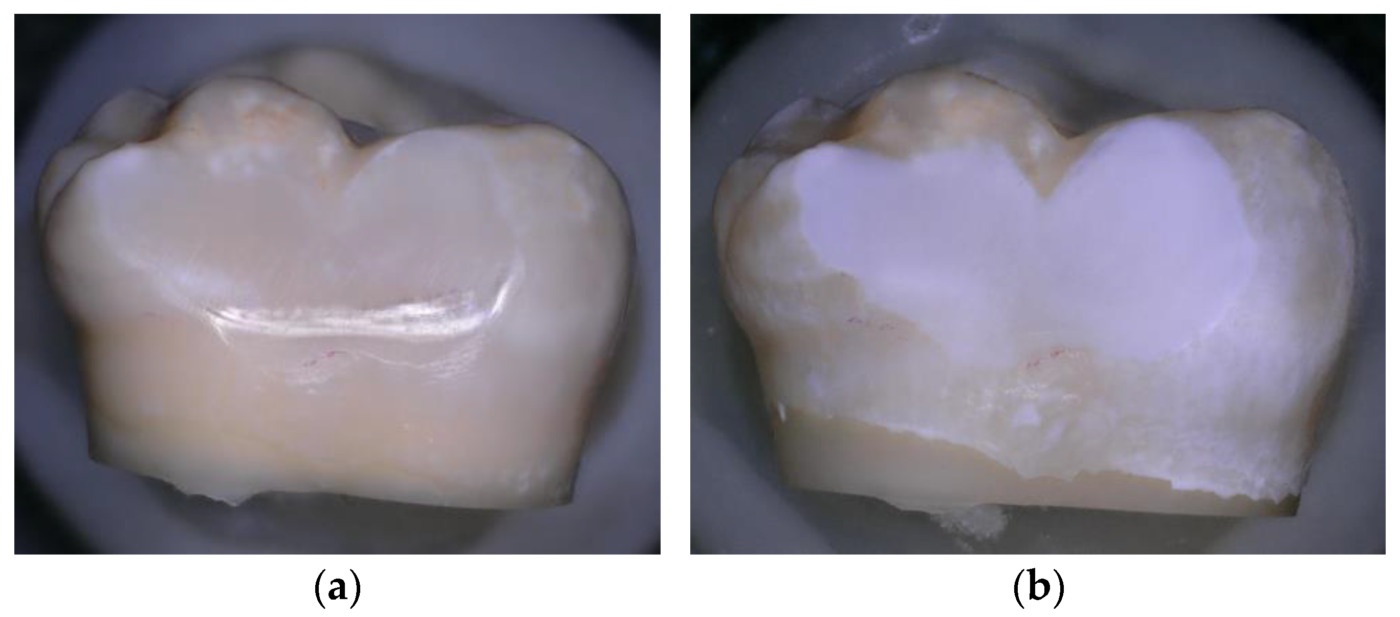 Materials 16 04811 g001