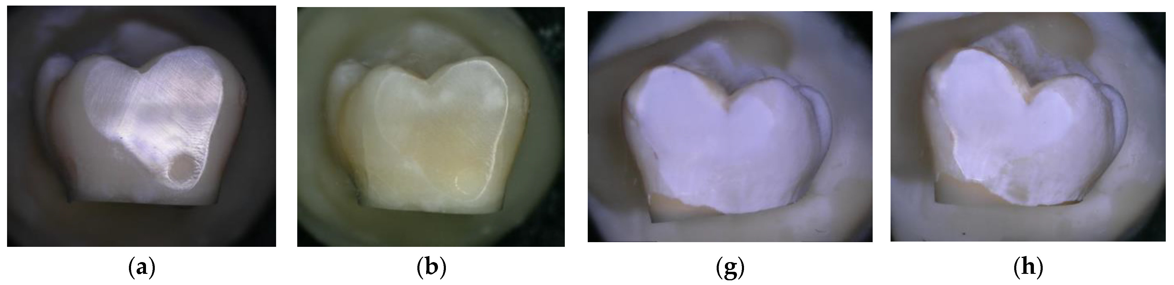 Materials 16 04811 g004a