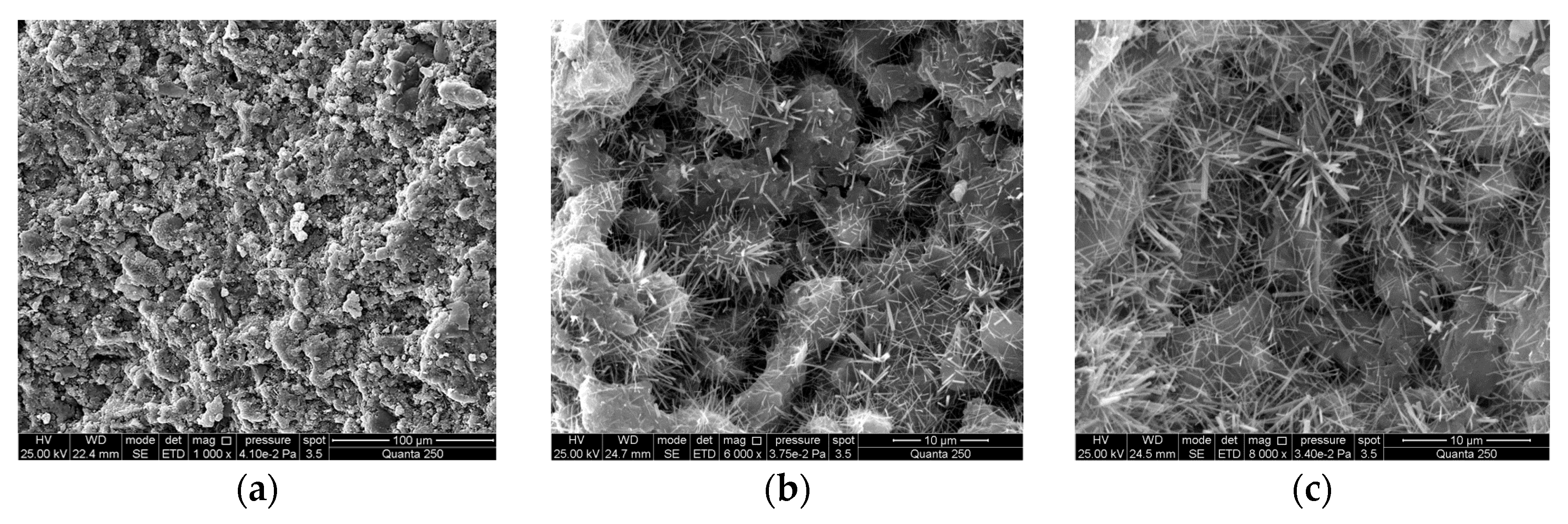 Materials 16 04814 g015