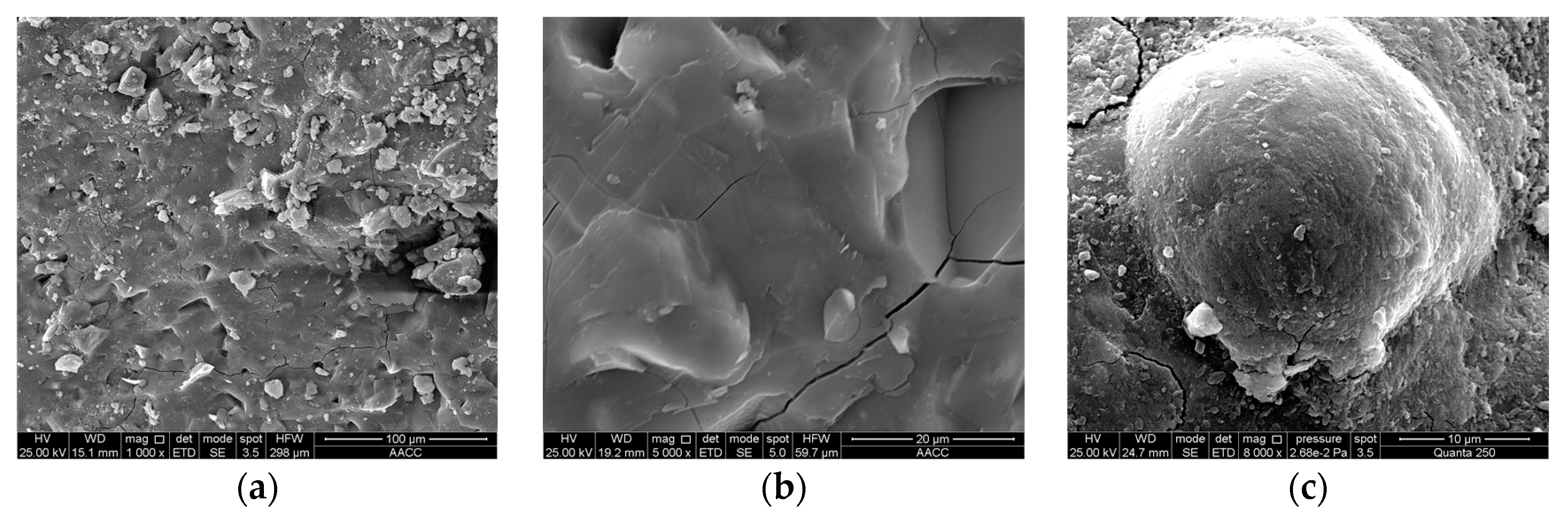 Materials 16 04814 g016