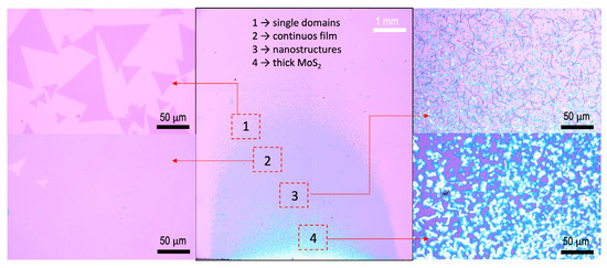 CVD Synthesis of MoS2 Using a Direct MoO2 Precursor: A Study on the ...