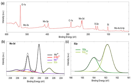 CVD Synthesis of MoS2 Using a Direct MoO2 Precursor: A Study on the ...