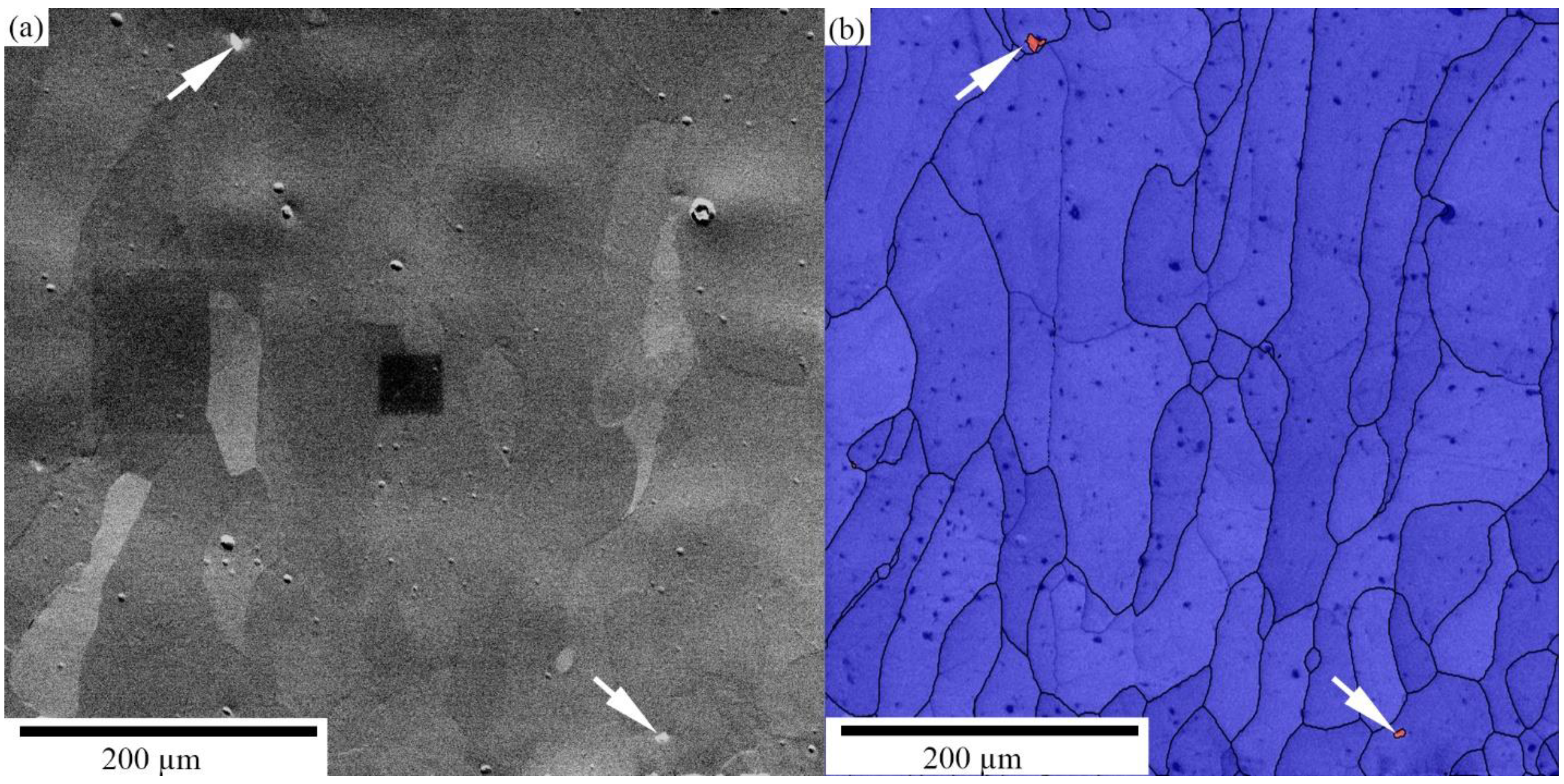 Materials 16 04821 g009