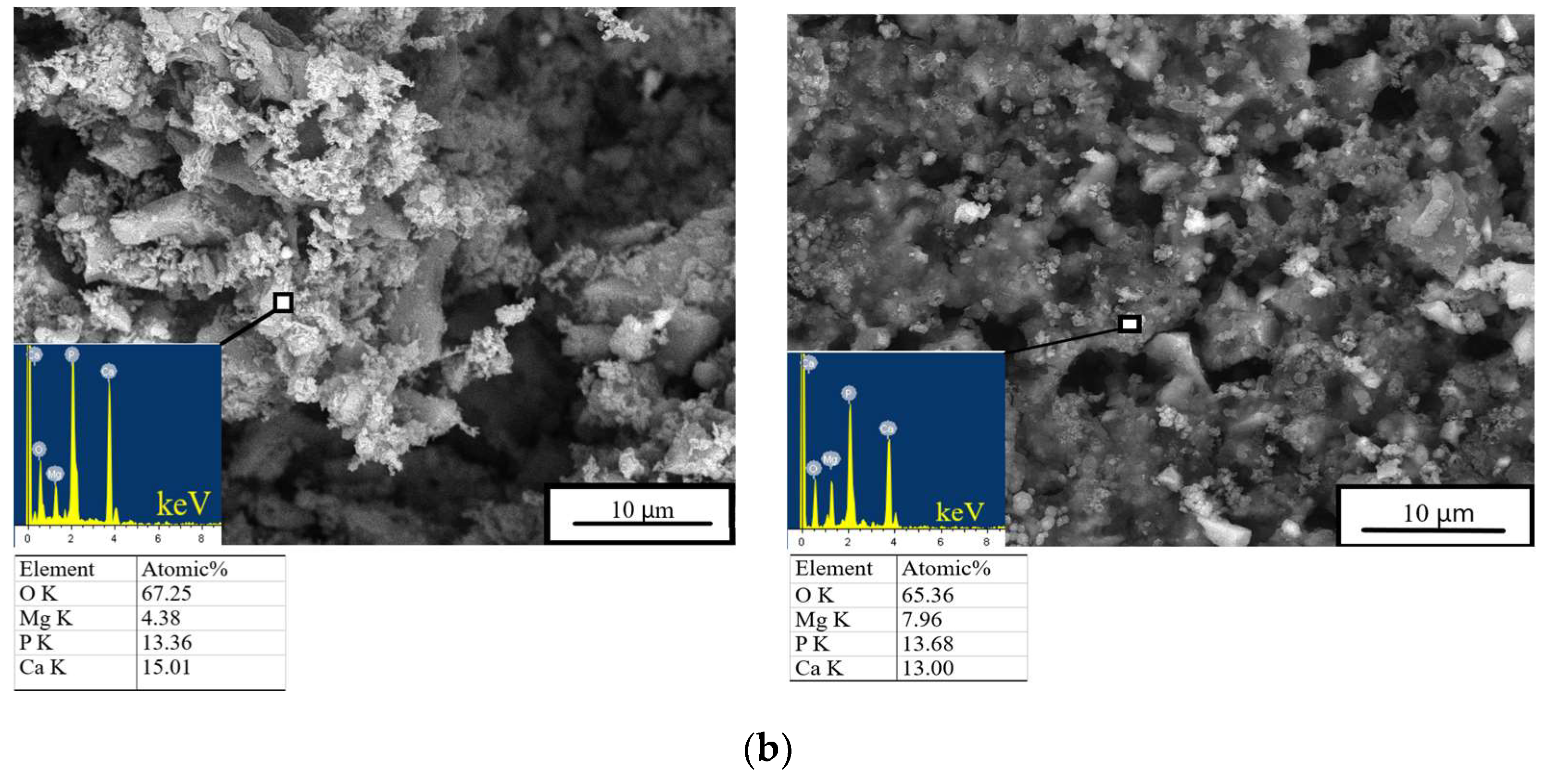Materials 16 04824 g008b