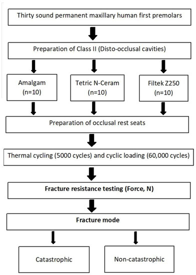 Fracture Strength of Composite Rest Seats: An In Vitro Comparative ...