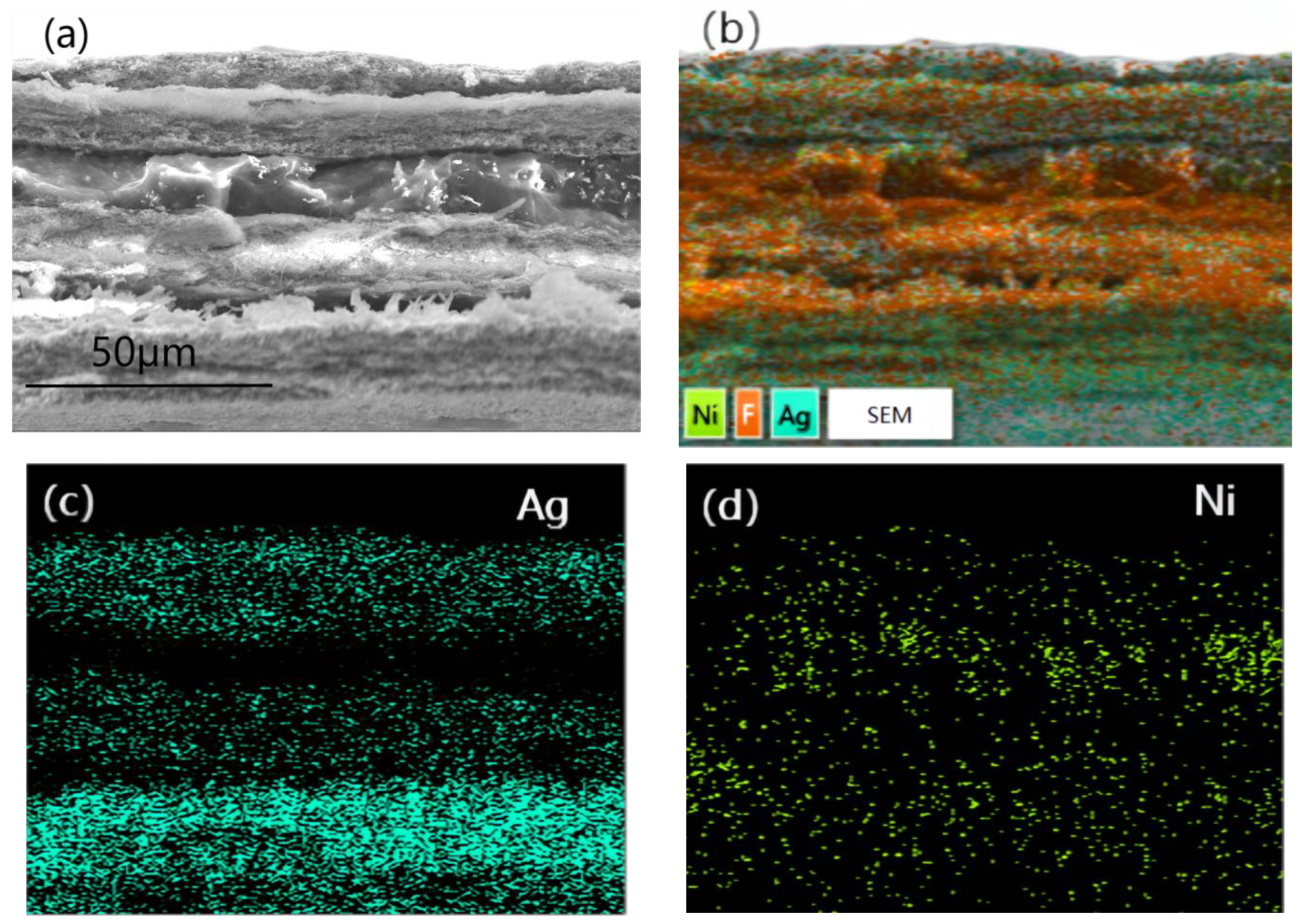 Materials 16 04831 g005 Materials 16 04831 g005