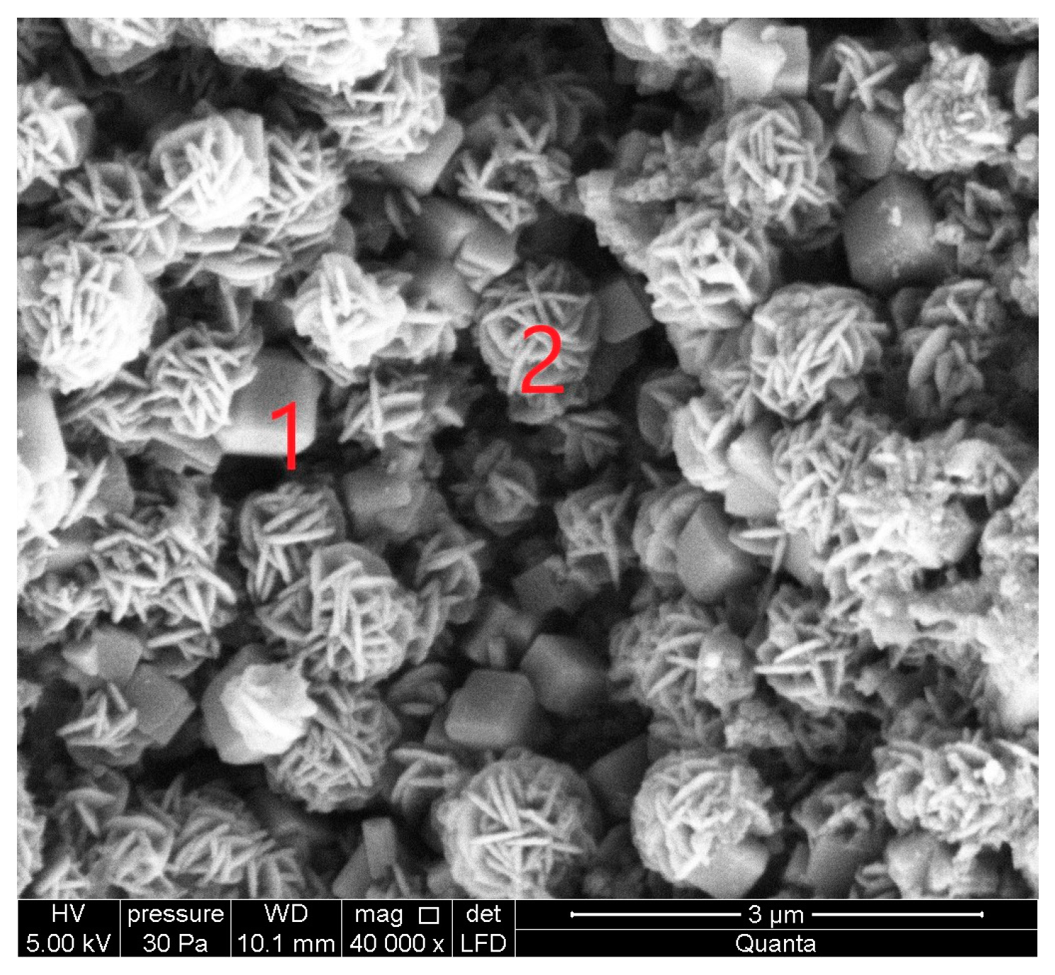 Materials 16 04837 g005