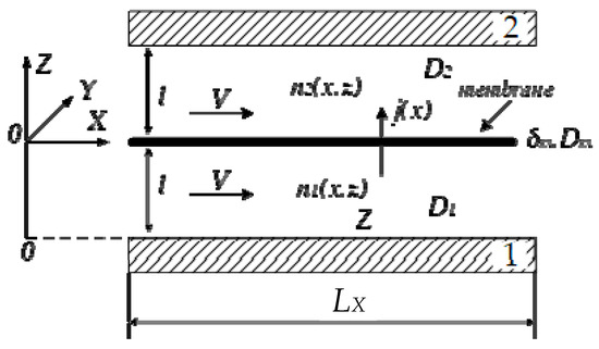 Investigating the Impact of Electrolyte Flow Velocity on the ...
