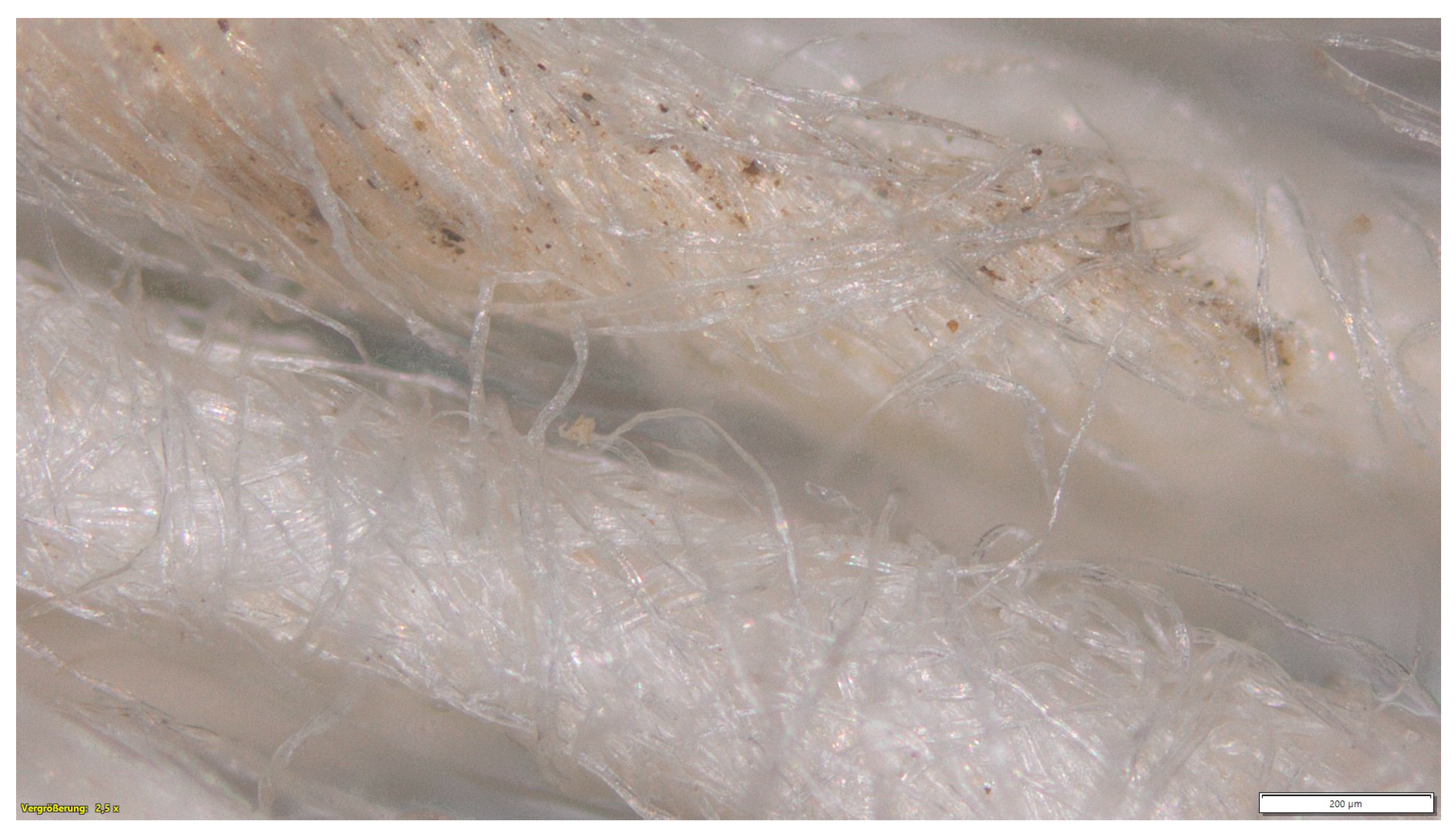 Materials 16 04849 g005